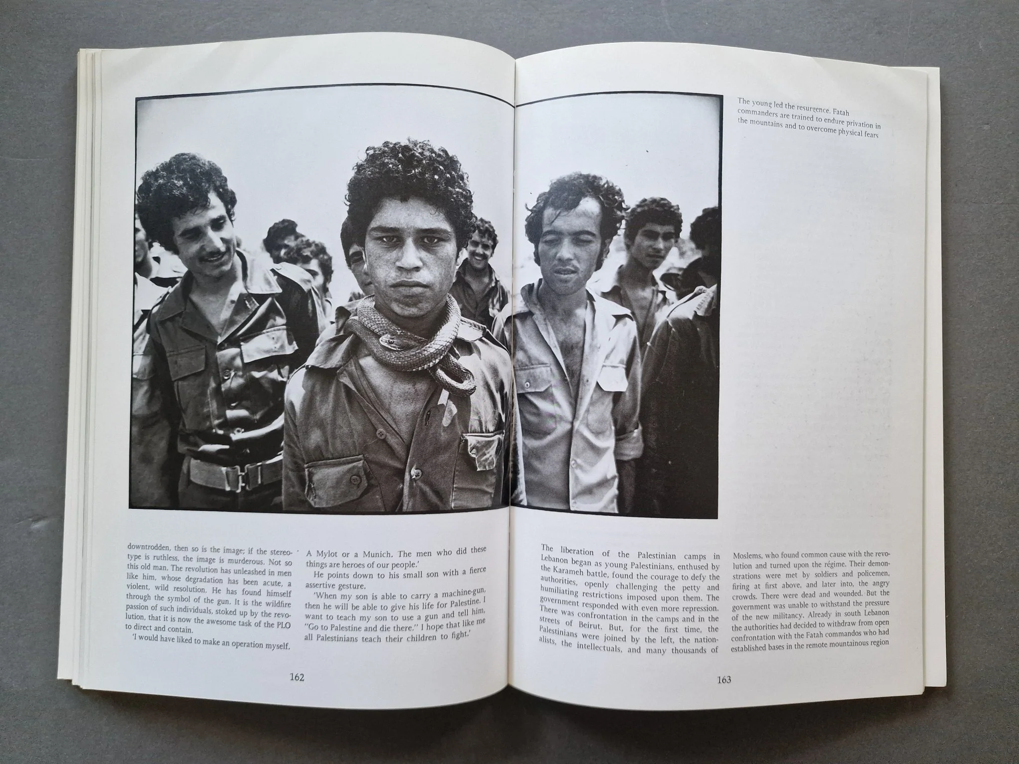 The Palestinians - Image 5