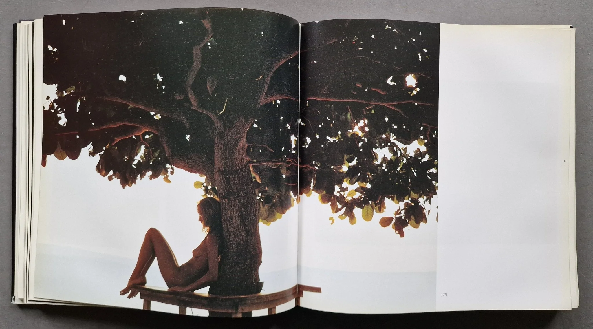 The Pirelli Calendar 1964-1998 - Image 3