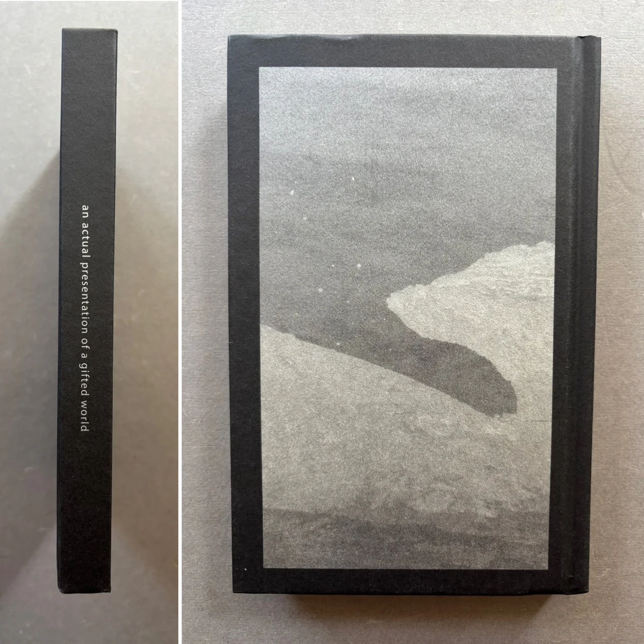 The Present: An Actual Presentation of a Gifted World - Image 6