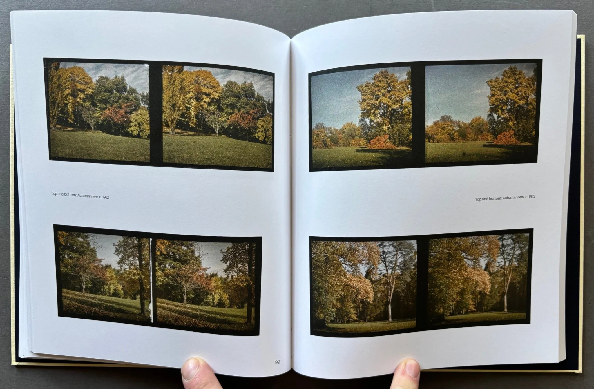 The Proof of Color - Image 2