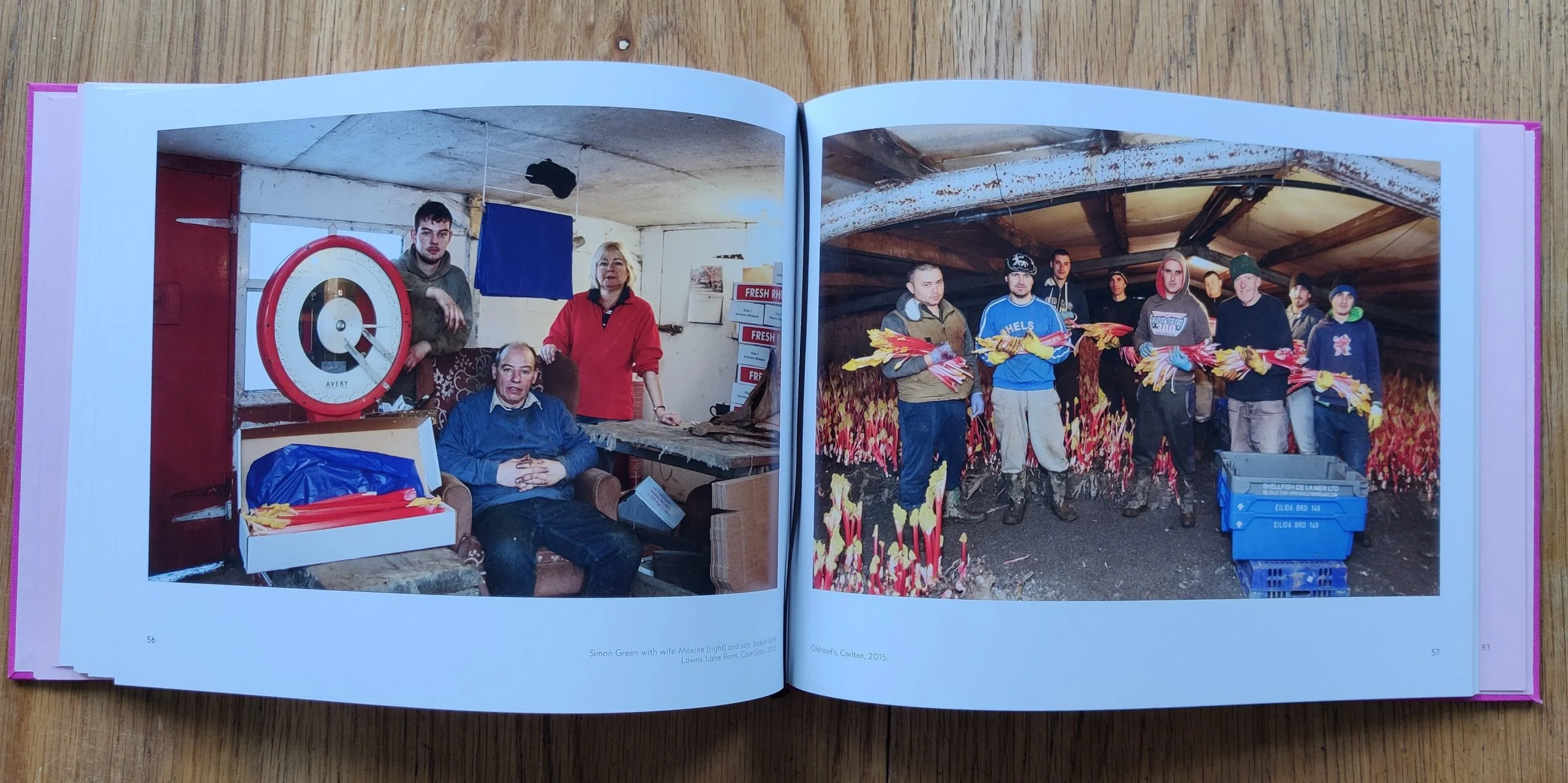 The Rhubarb Triangle - Image 6