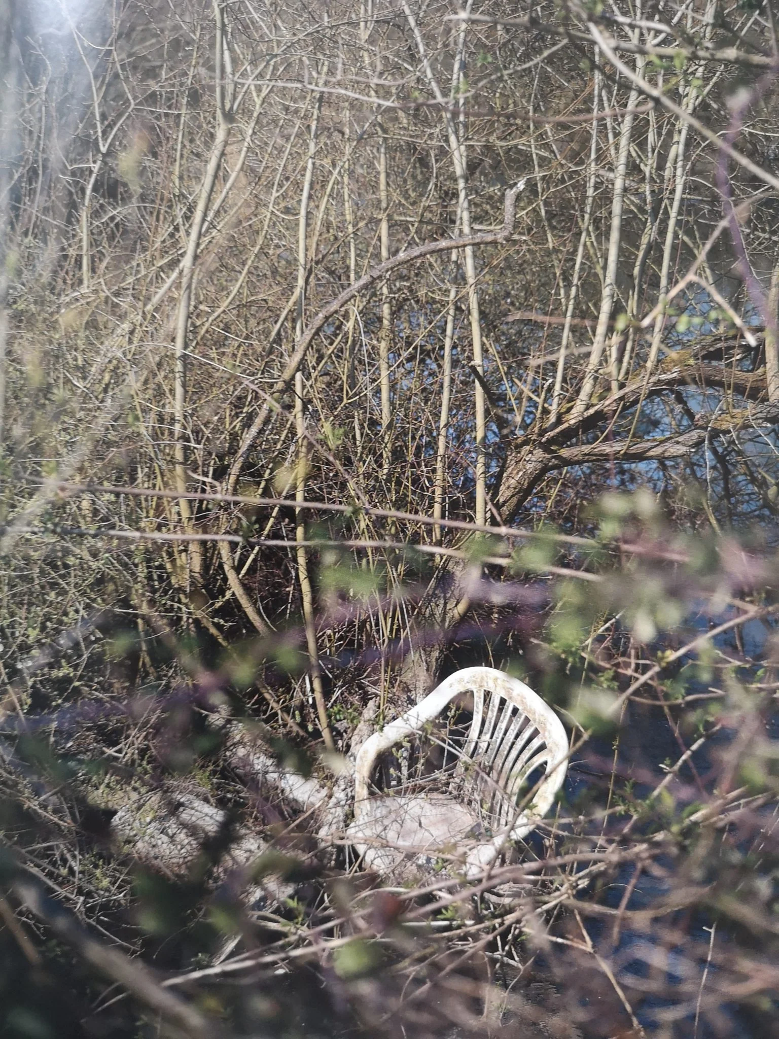 The River's Suck - Image 10