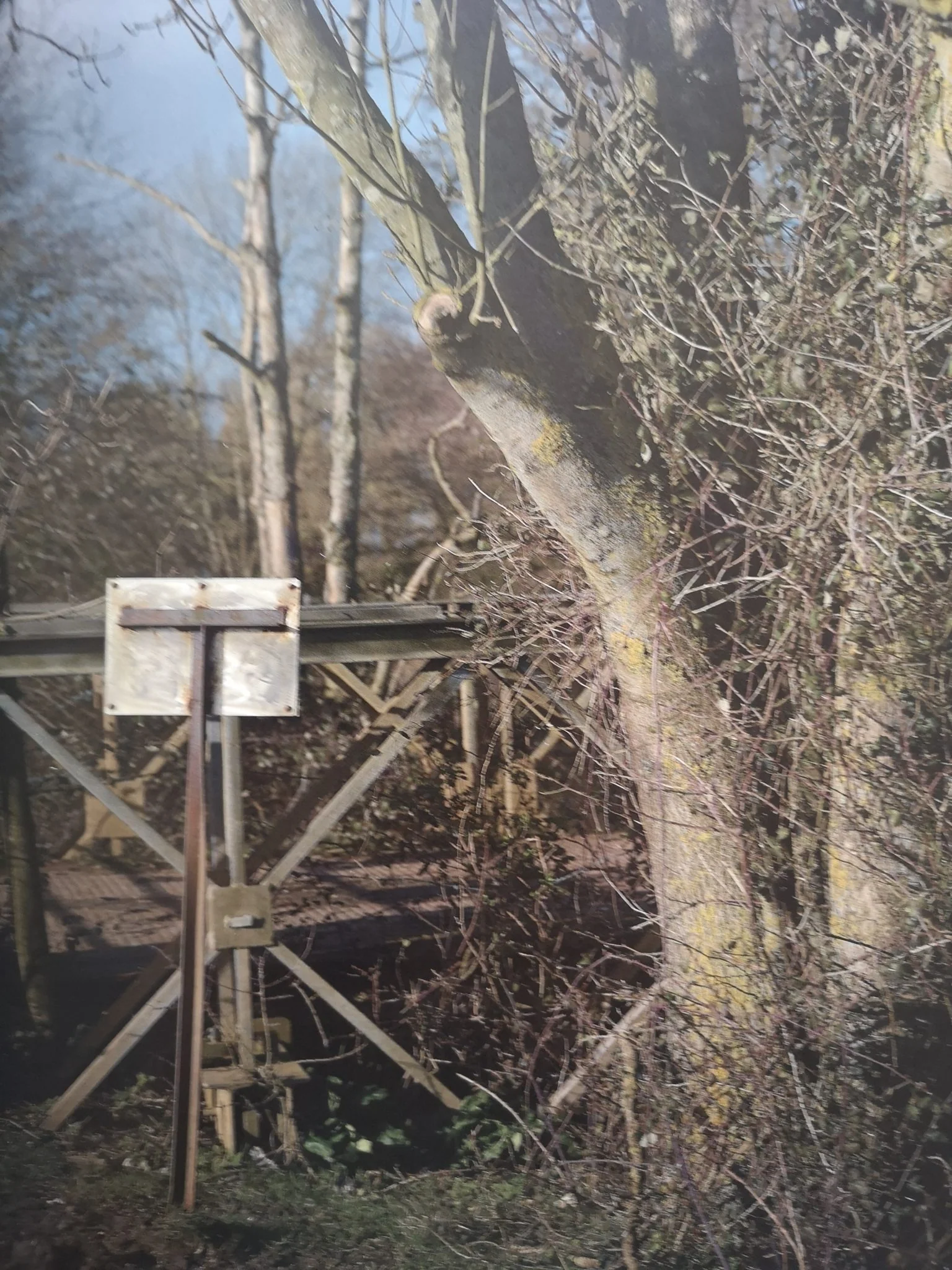 The River's Suck - Image 6