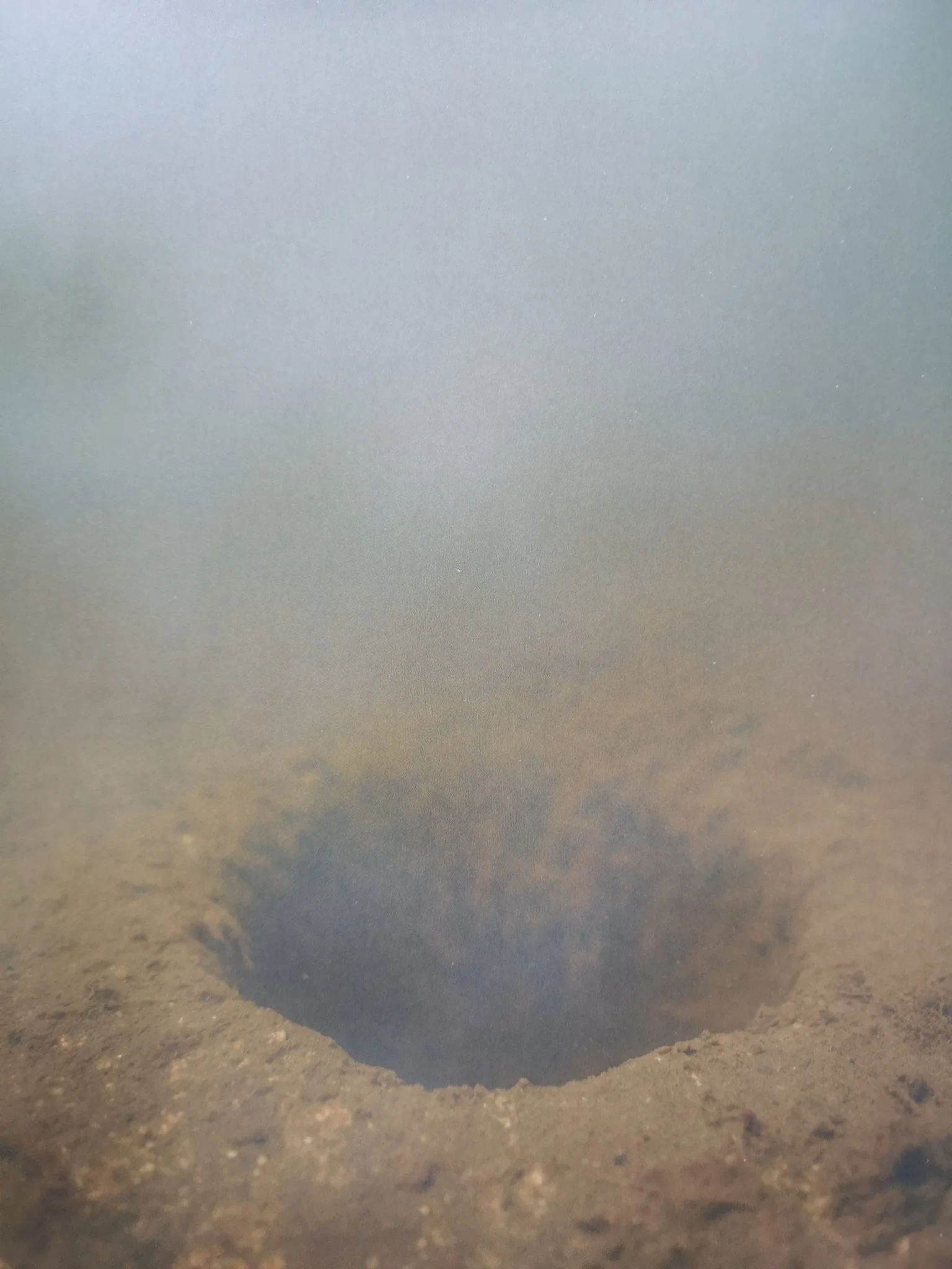 The River's Suck - Image 9