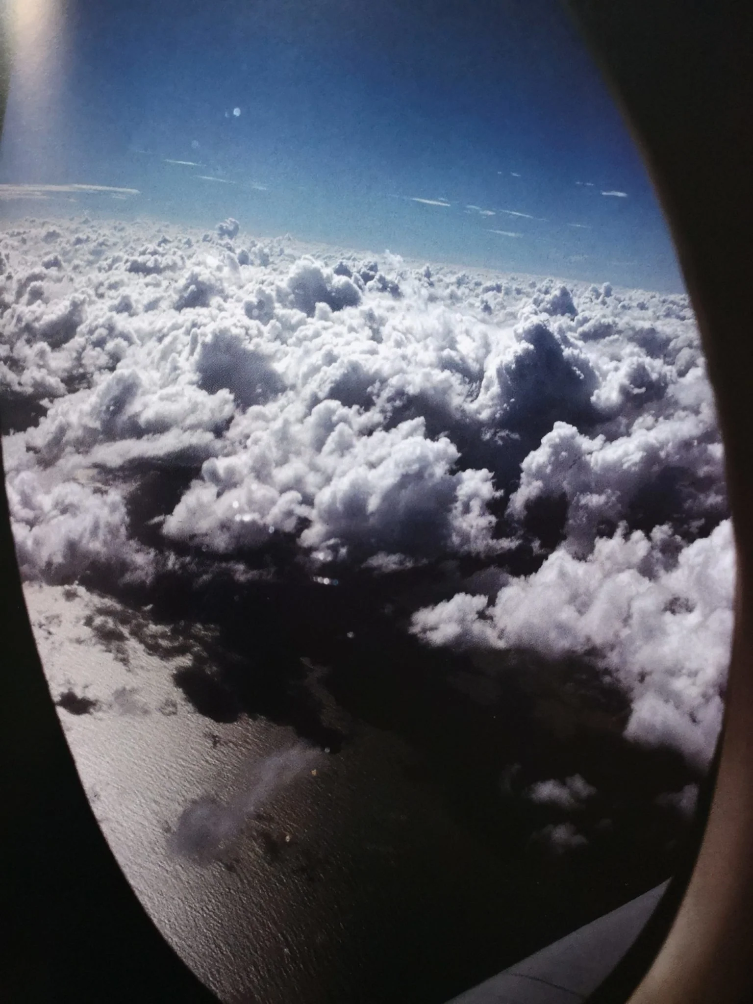 The Sea of Love - Image 6