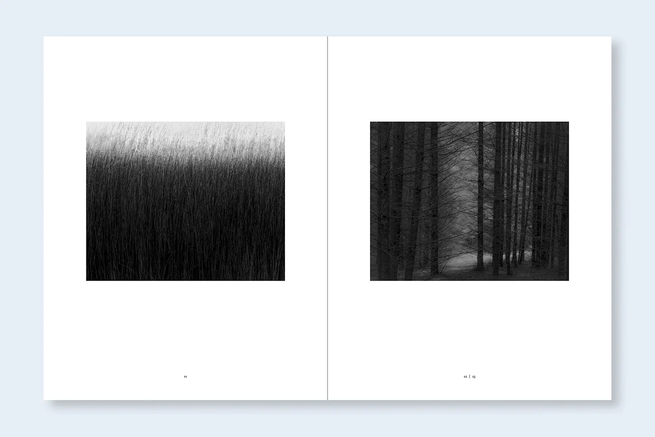 The Shadow's Veil - Image 10