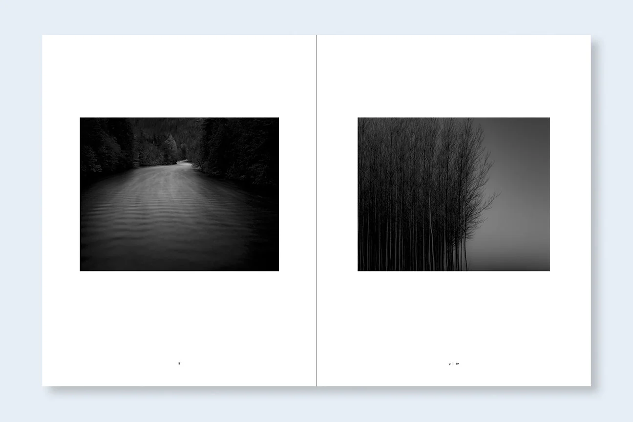 The Shadow's Veil - Image 8