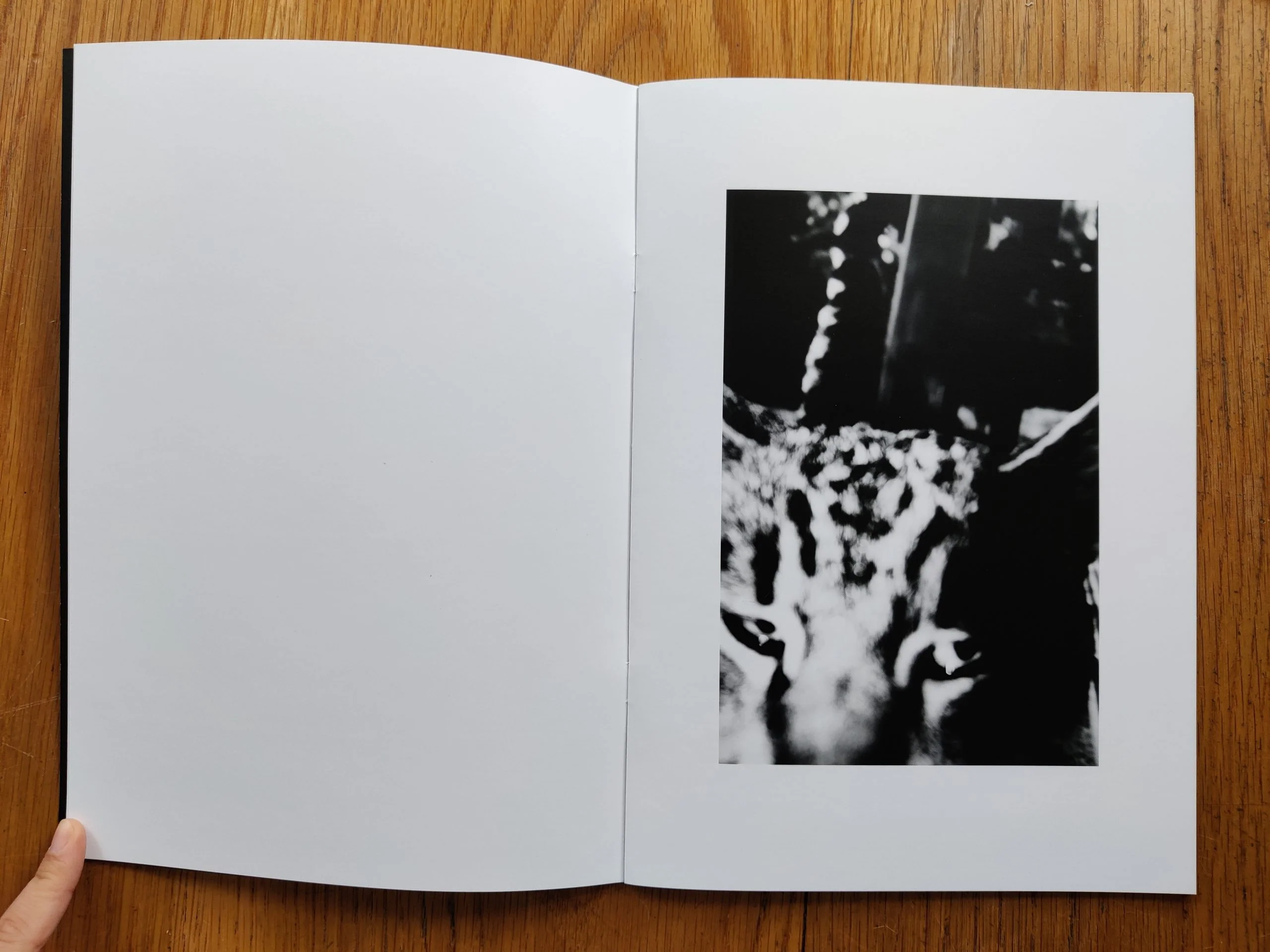 The Specter of Life - Image 6