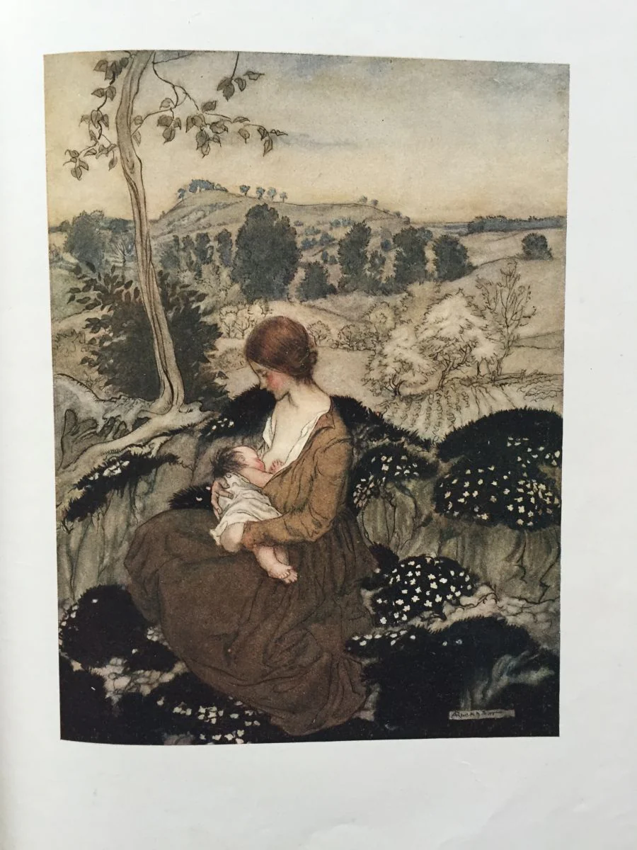 The Springtide of Life - Image 6