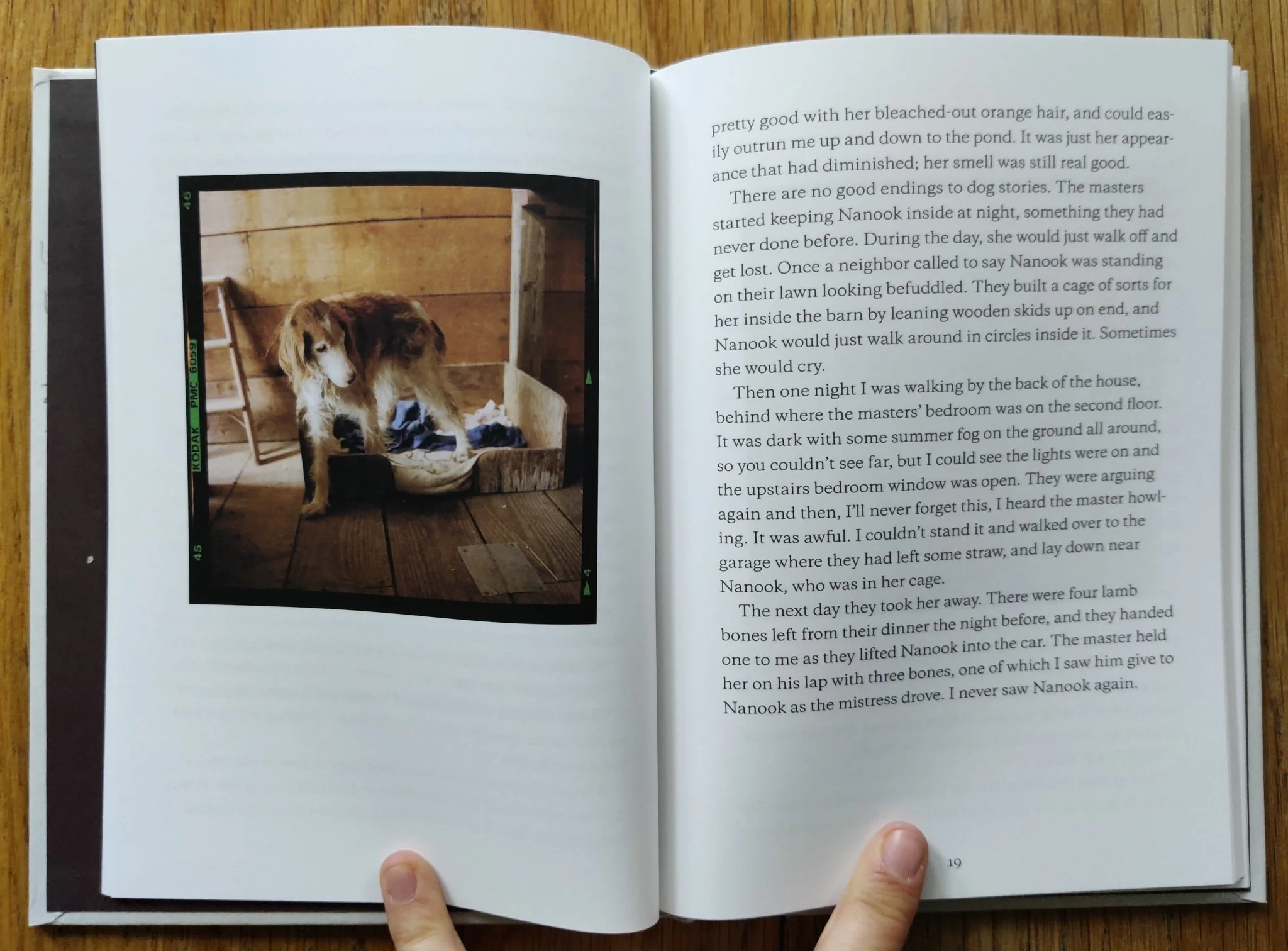 The Story of Sam - Image 3