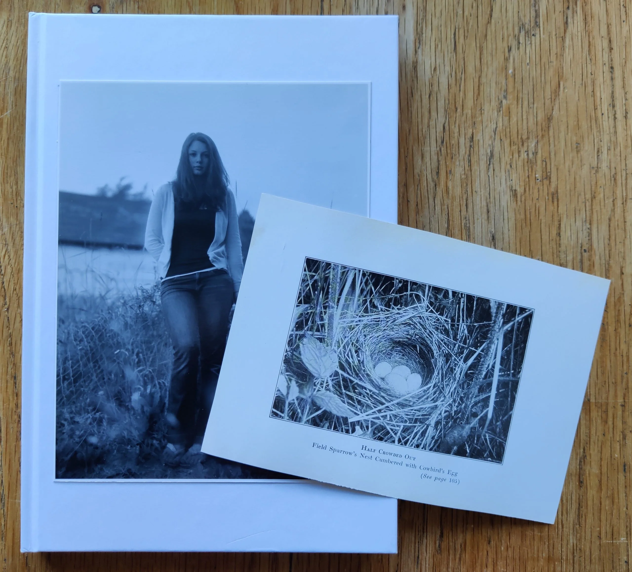 The things of the world are true / Somersault (Special Edition) - Image 7
