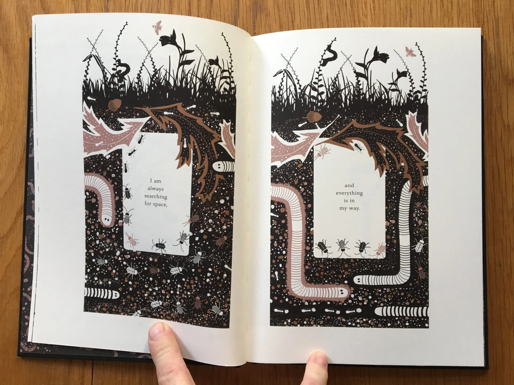 The Worm and the Bird - Image 4