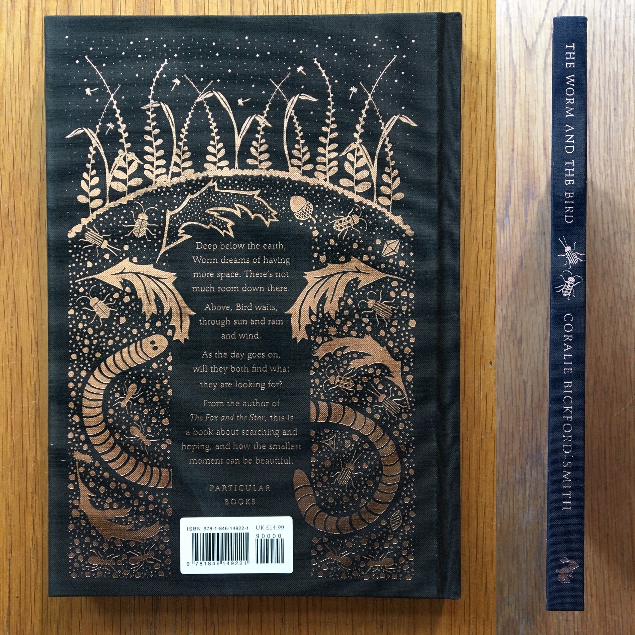 The Worm and the Bird - Image 7