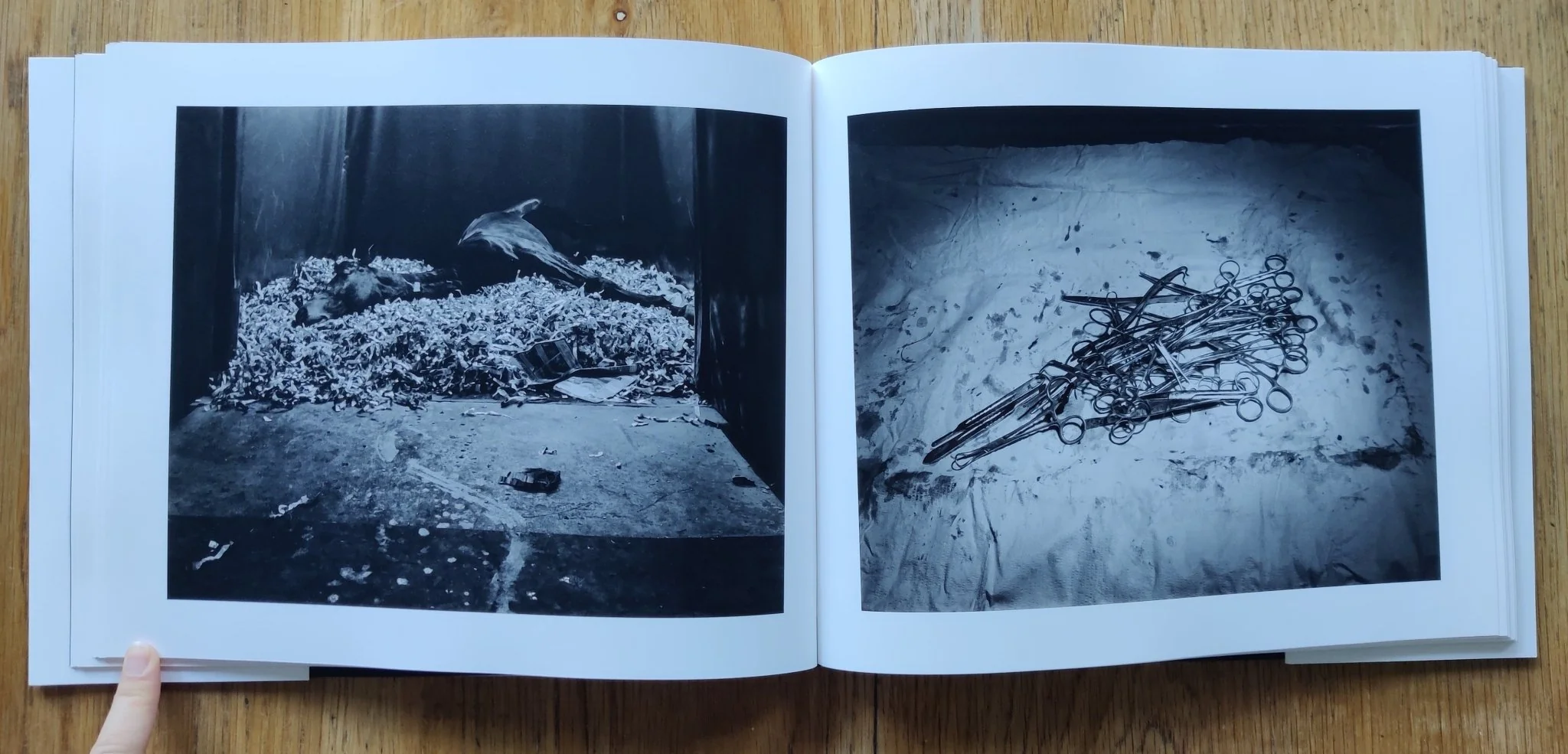 Theatrum Equorum - Image 6