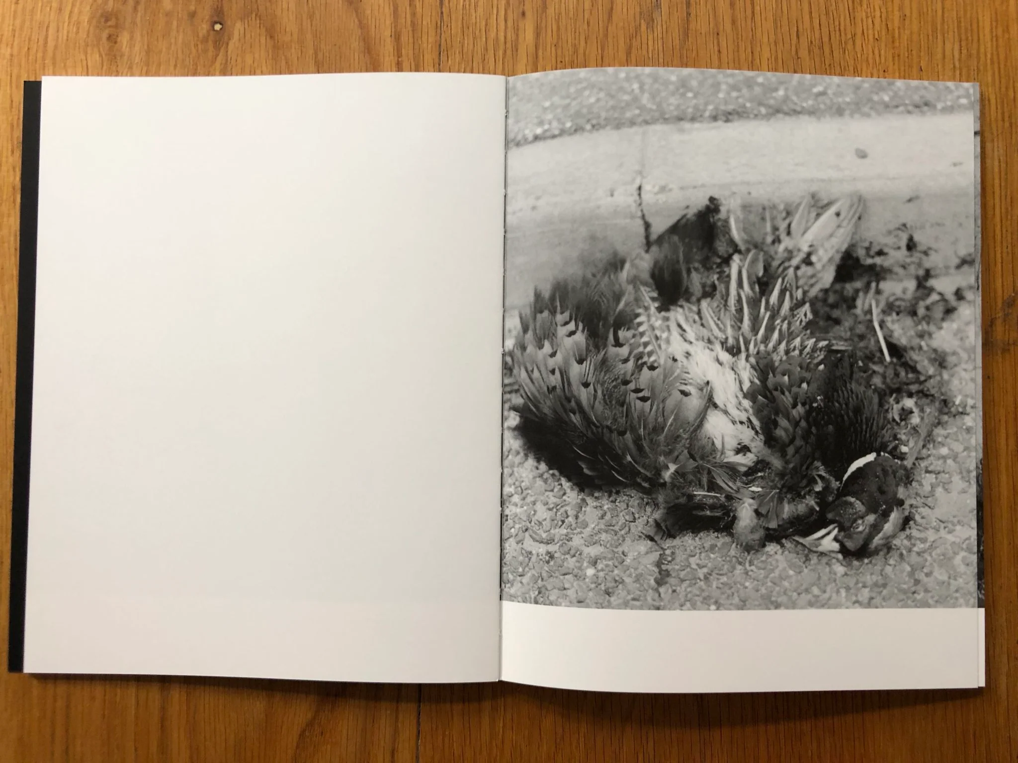 They Were my Landscape - Image 4