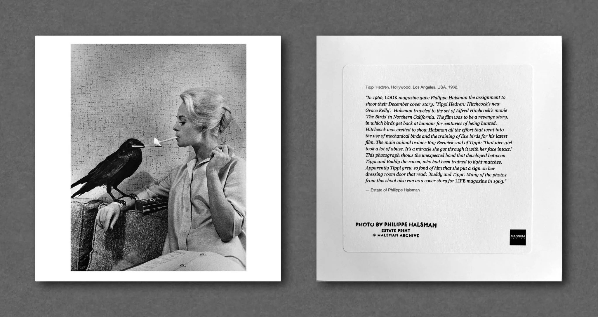 Tippi Hedren, Hollywood, Los Angeles, USA (1962) - Image 2