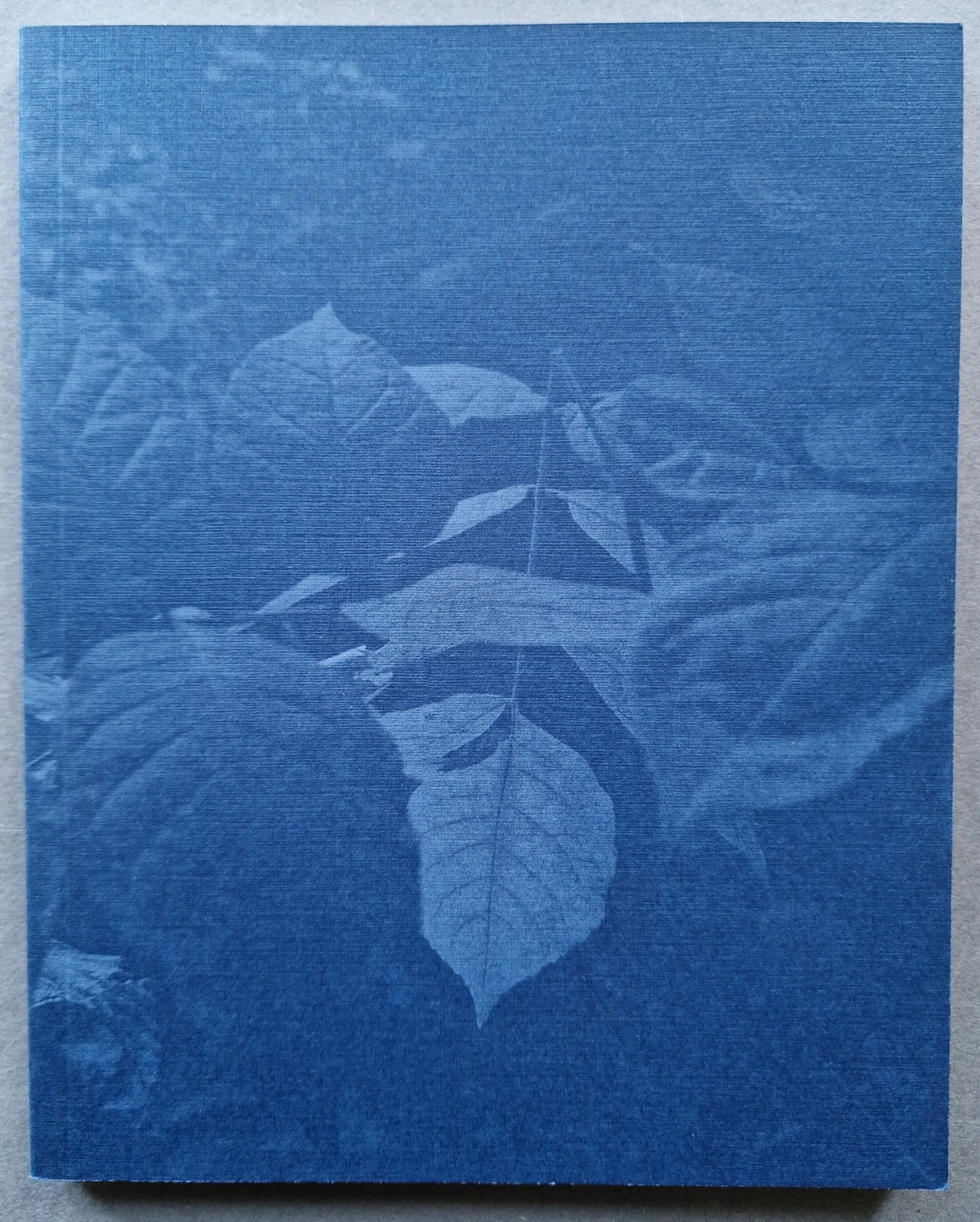 TIS01 - Image 5