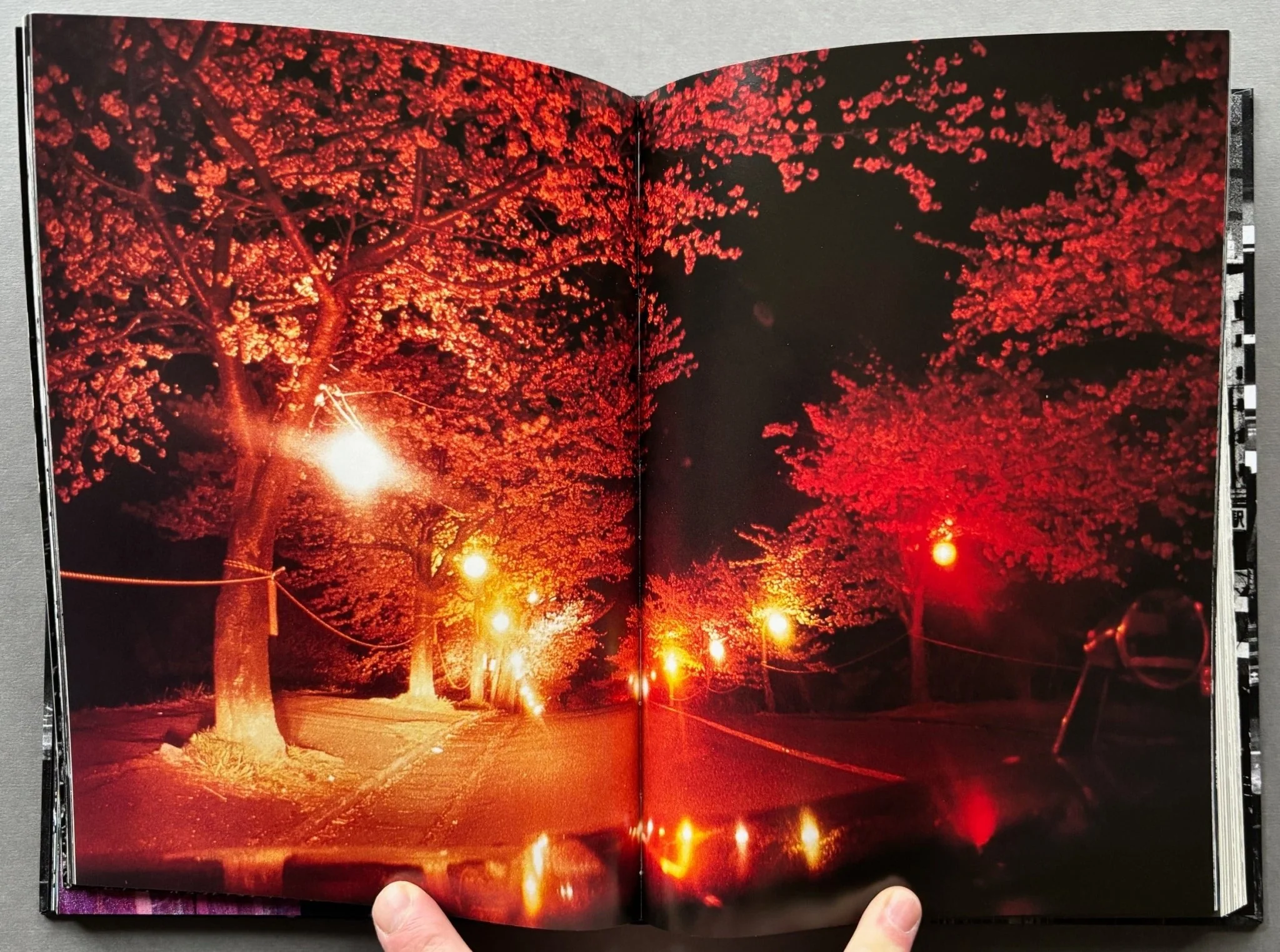 Tokyo Revisited with signed print - Image 5