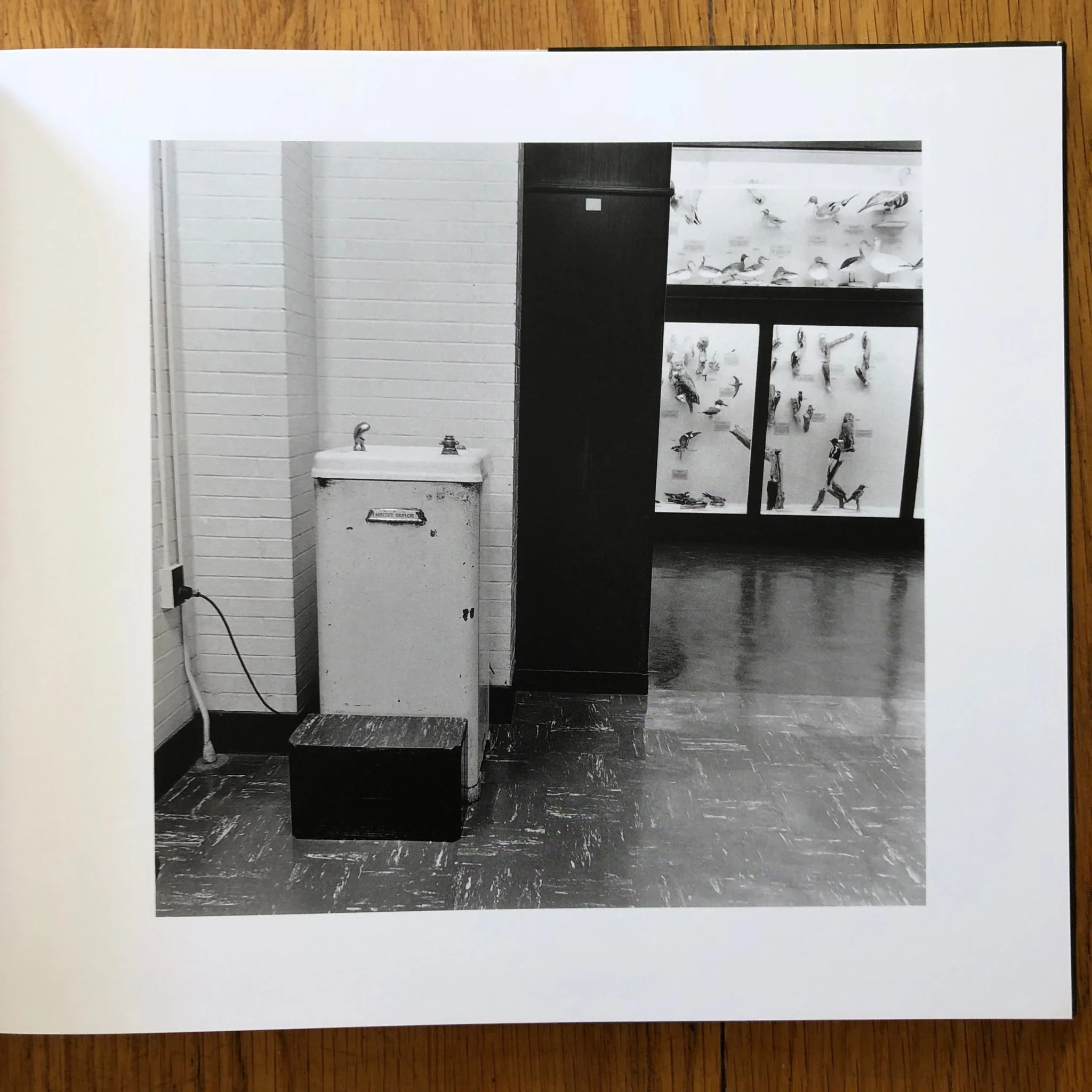 Trip - Image 4