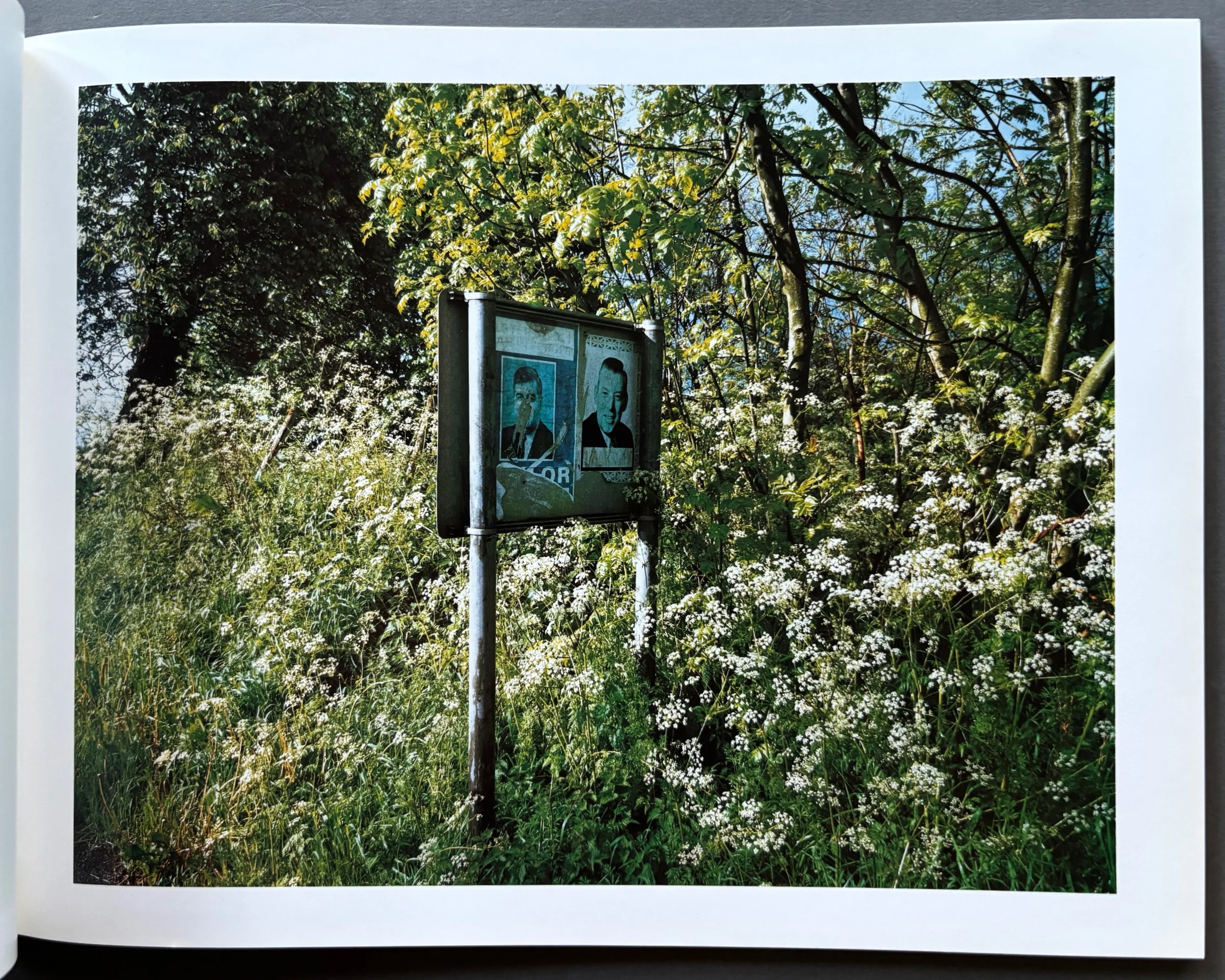 Troubled Land: The Social Landscape of Northern Ireland - Image 3