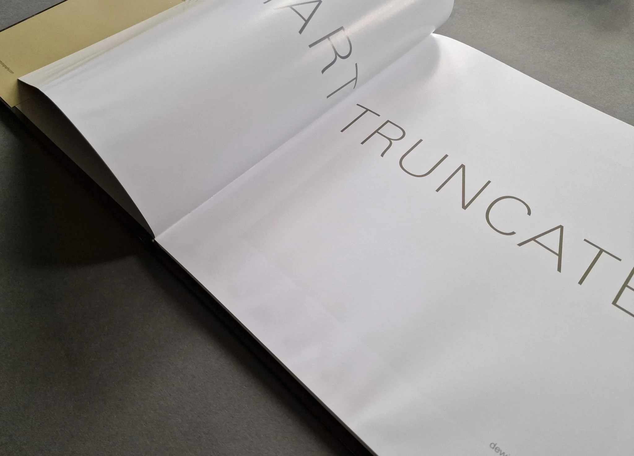 Truncated - Image 3