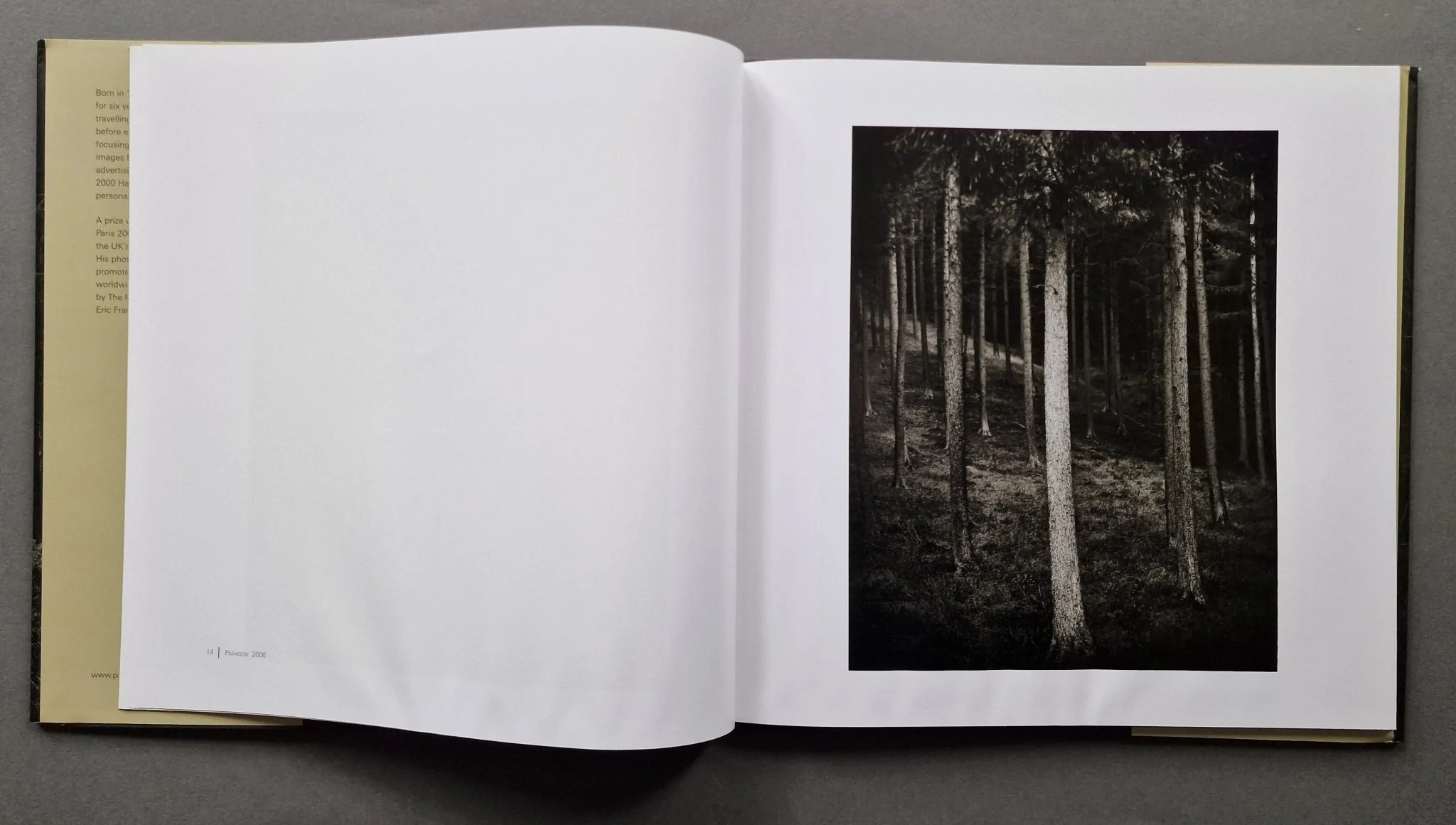 Truncated - Image 4