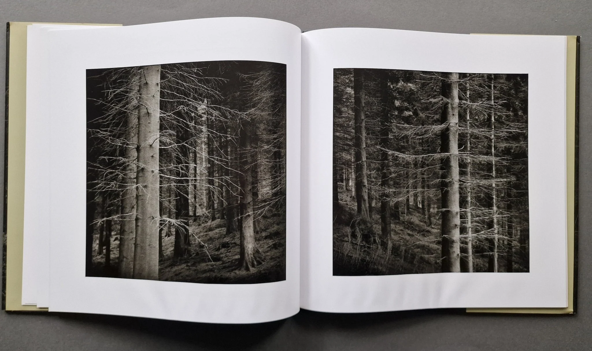 Truncated - Image 6
