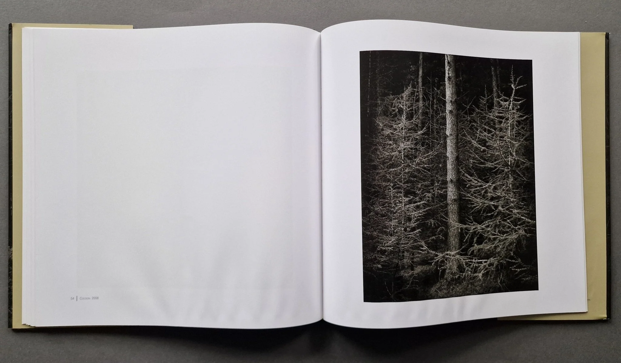 Truncated - Image 7