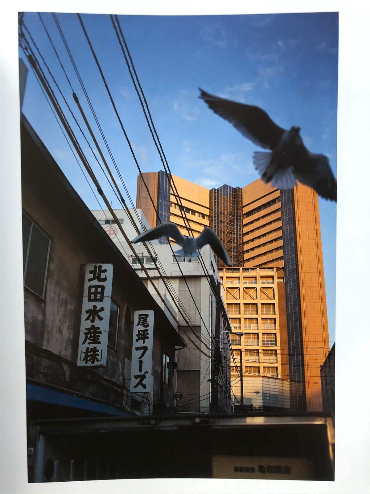 Tsukiji Shijo - Image 4