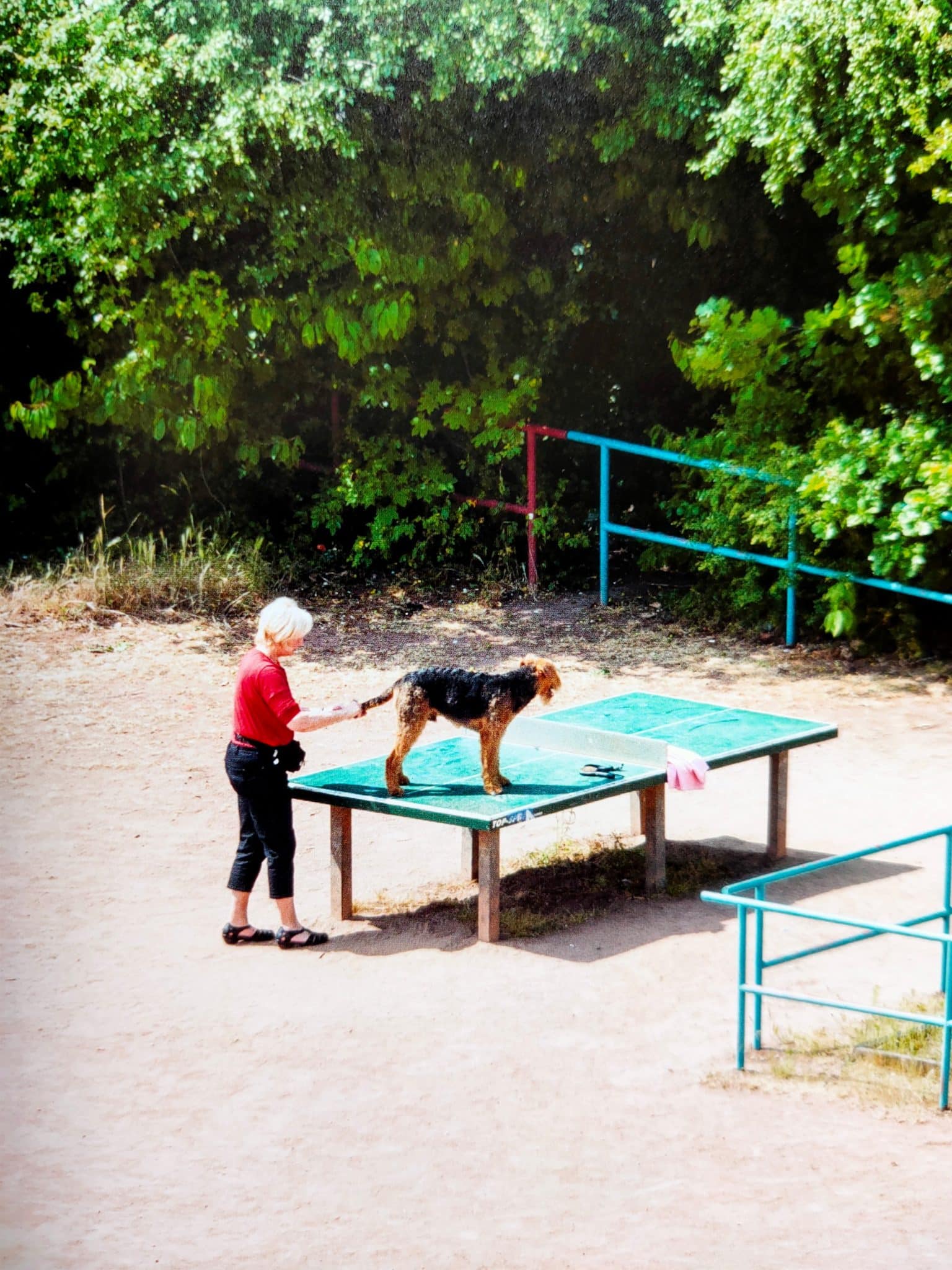 TTP - Image 9