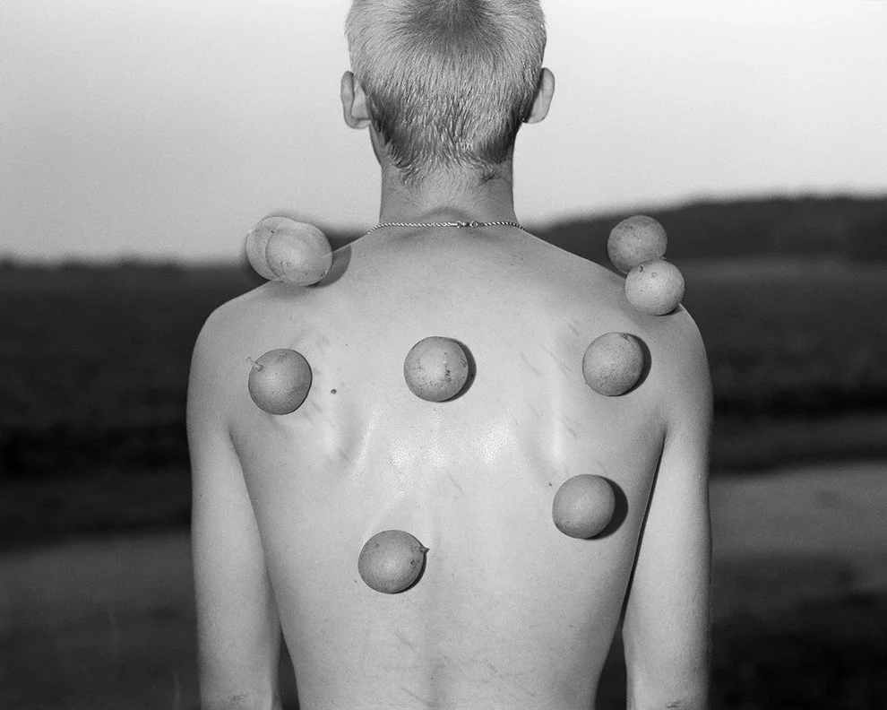 Twelve Acres - Image 4