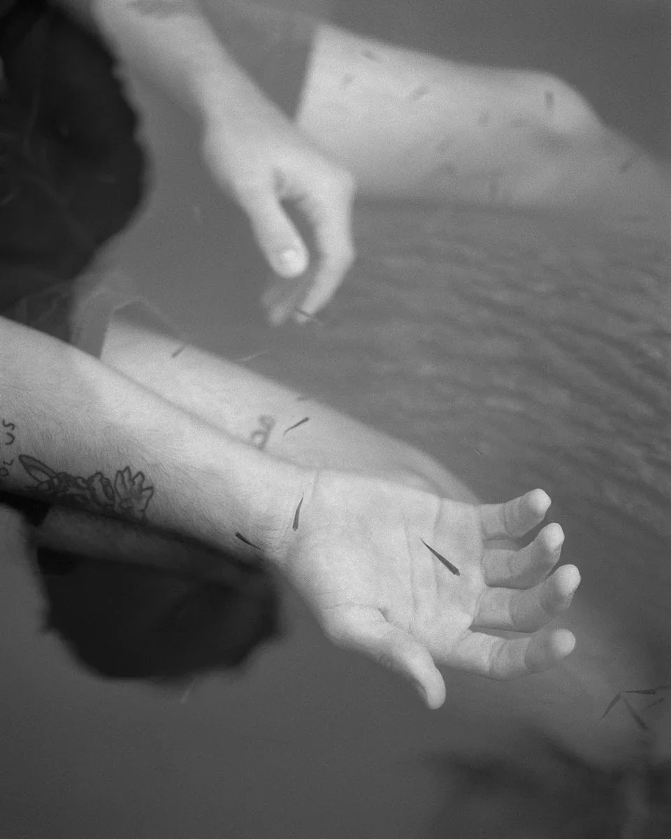 Twelve Acres - Image 5
