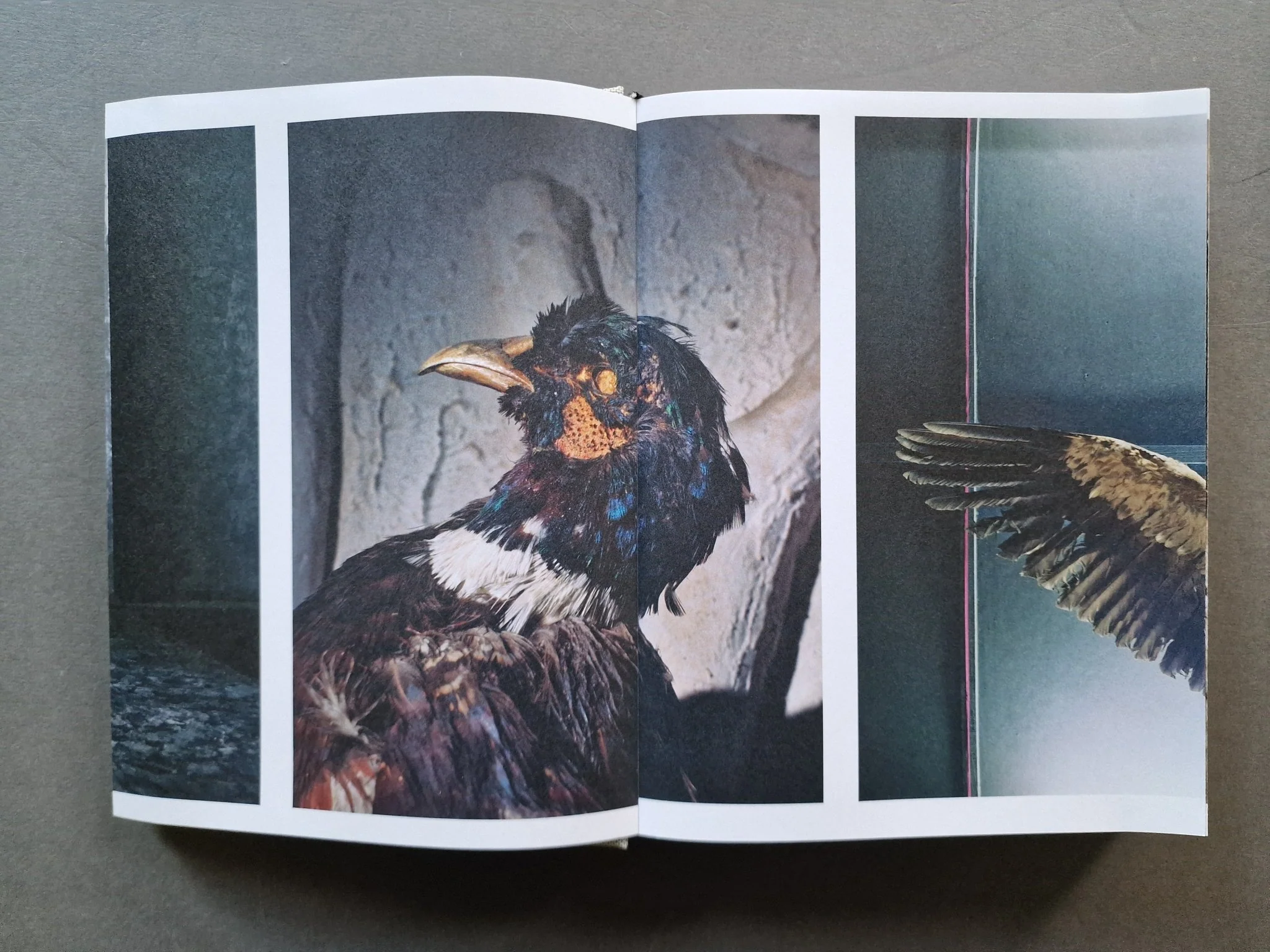 Two Rivers - Image 7