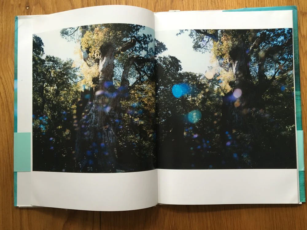 Unchained - Image 5