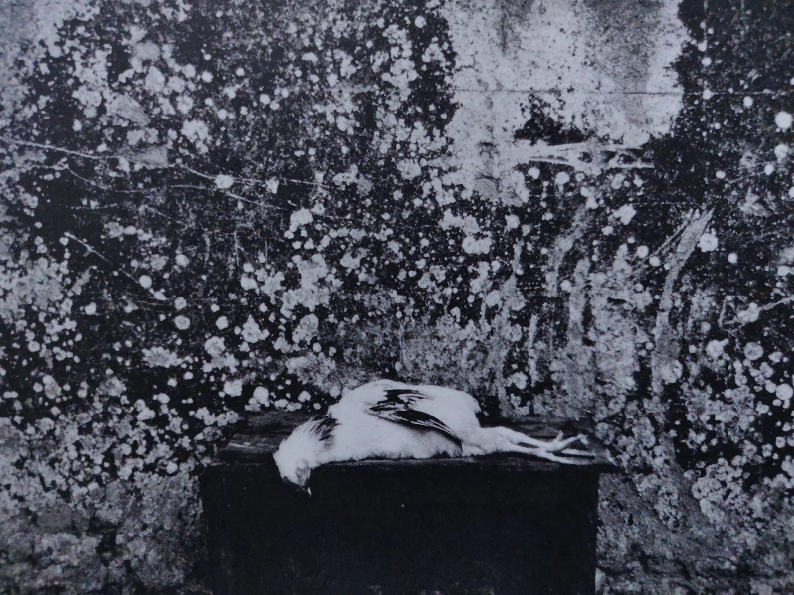 Untouched - Image 7