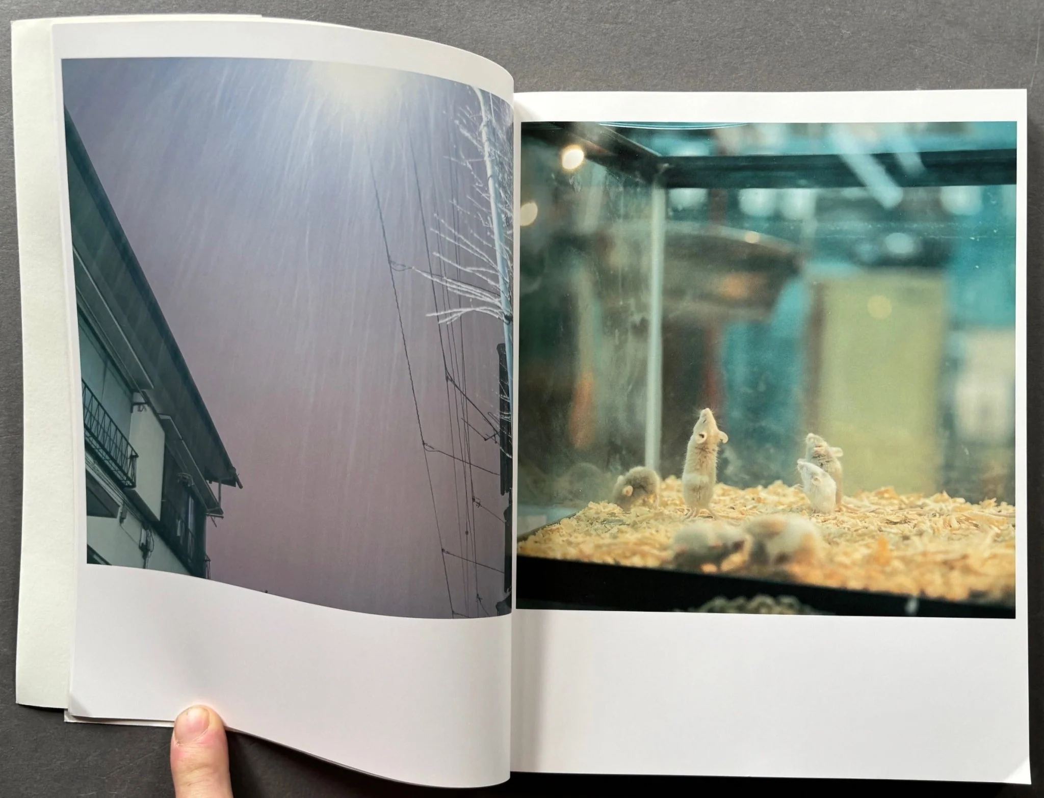 Utatane - Image 5