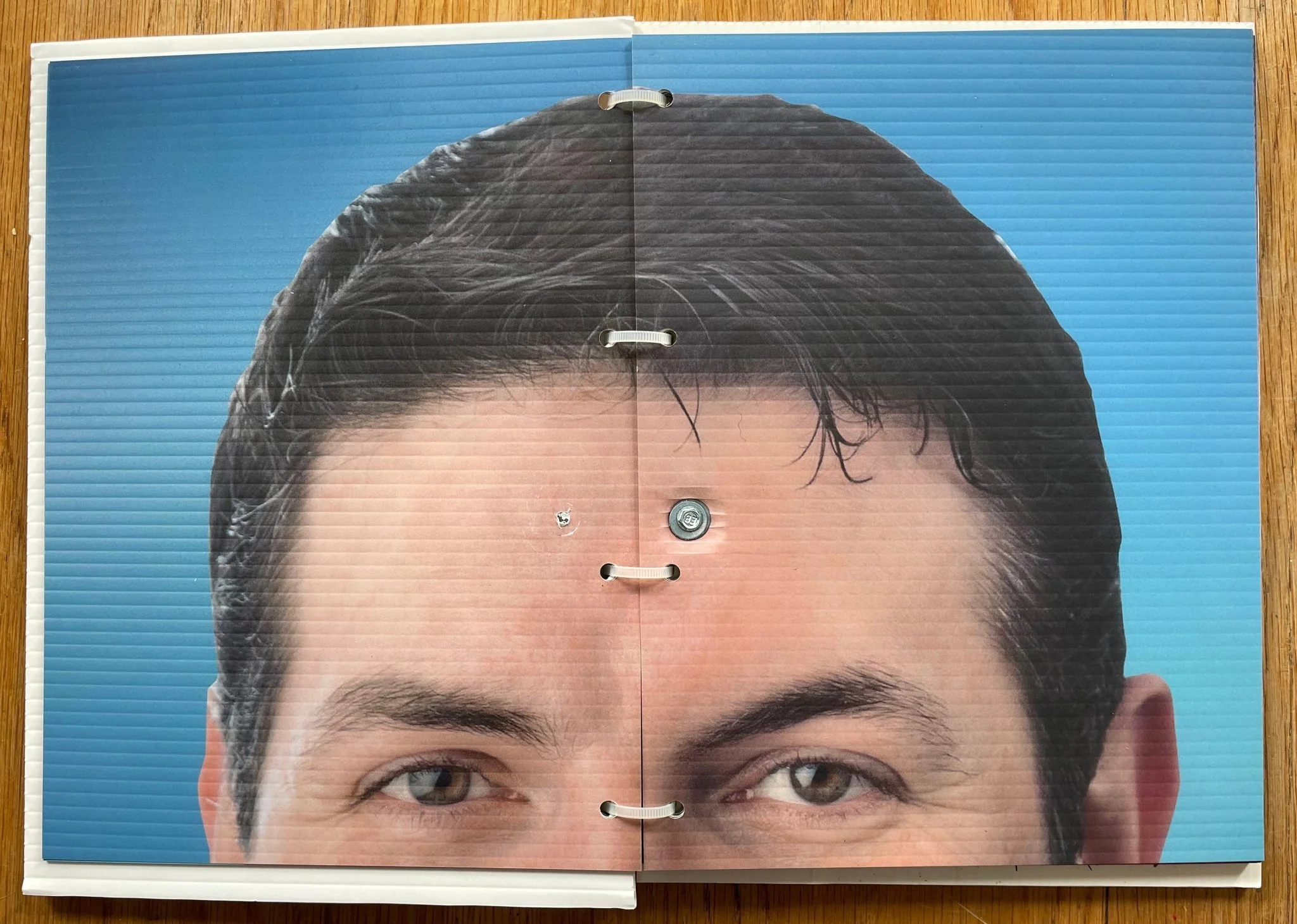 Vote No. 1 - Image 4