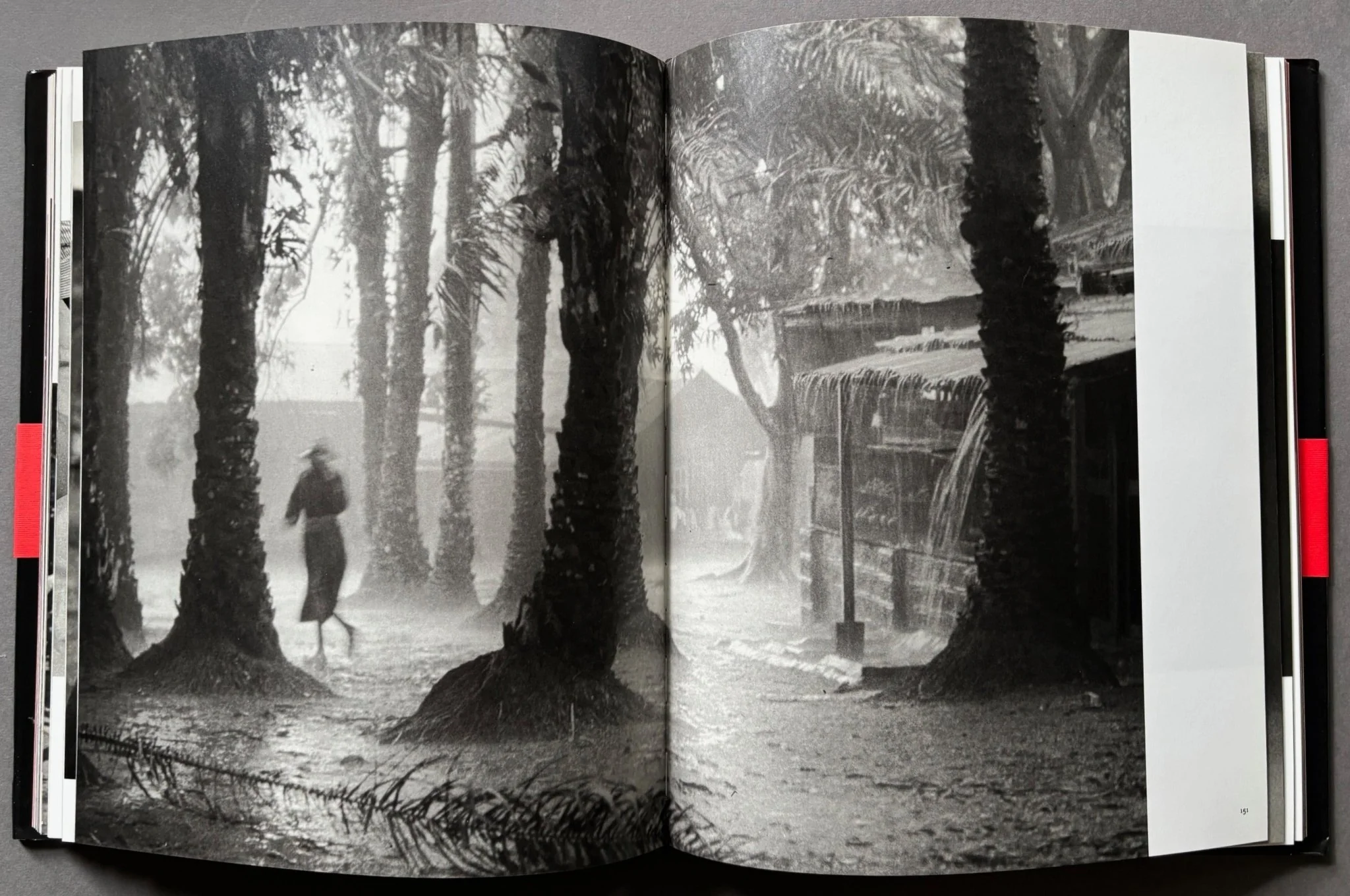 W. Eugene Smith - Image 3