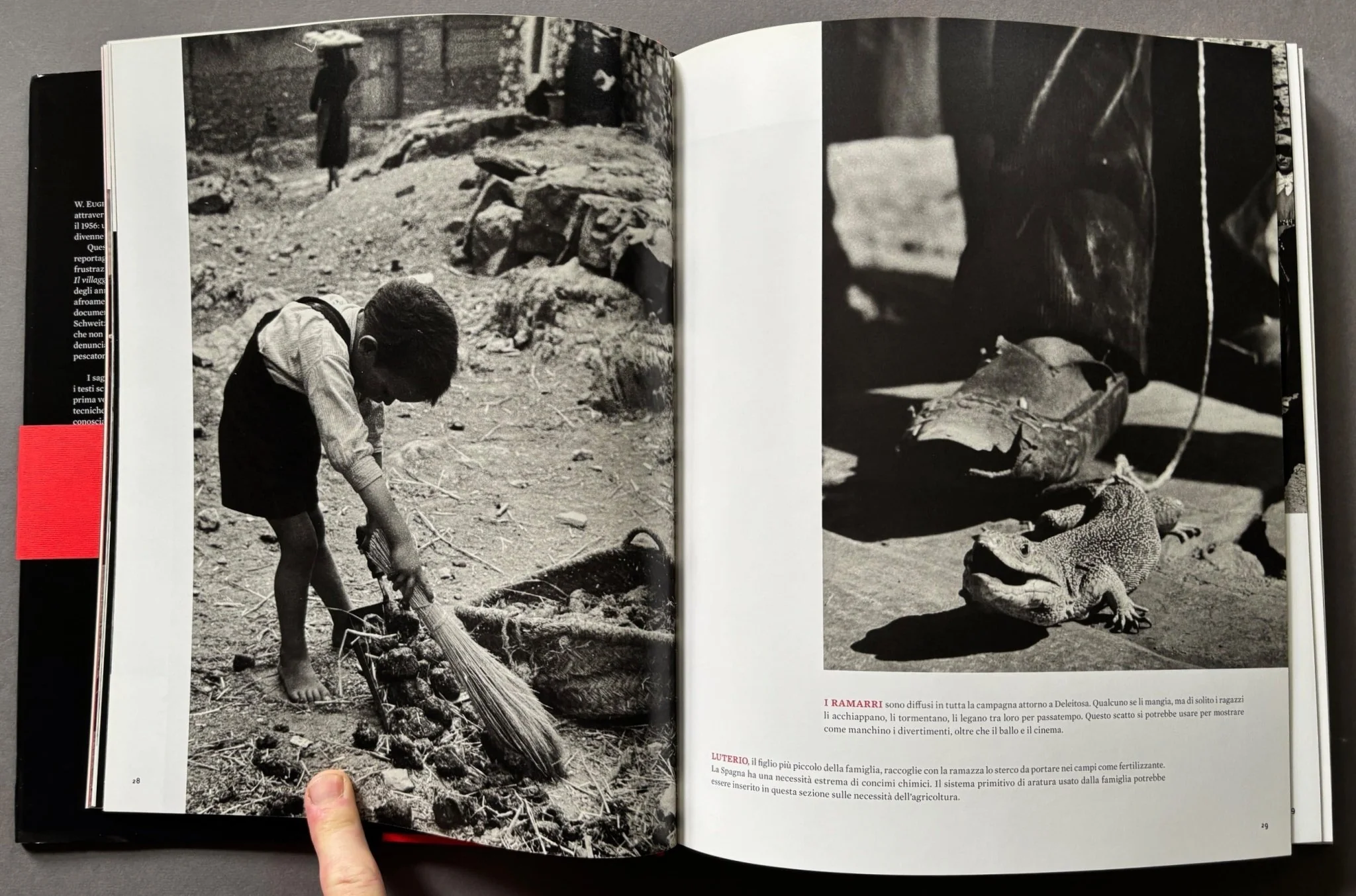 W. Eugene Smith - Image 5