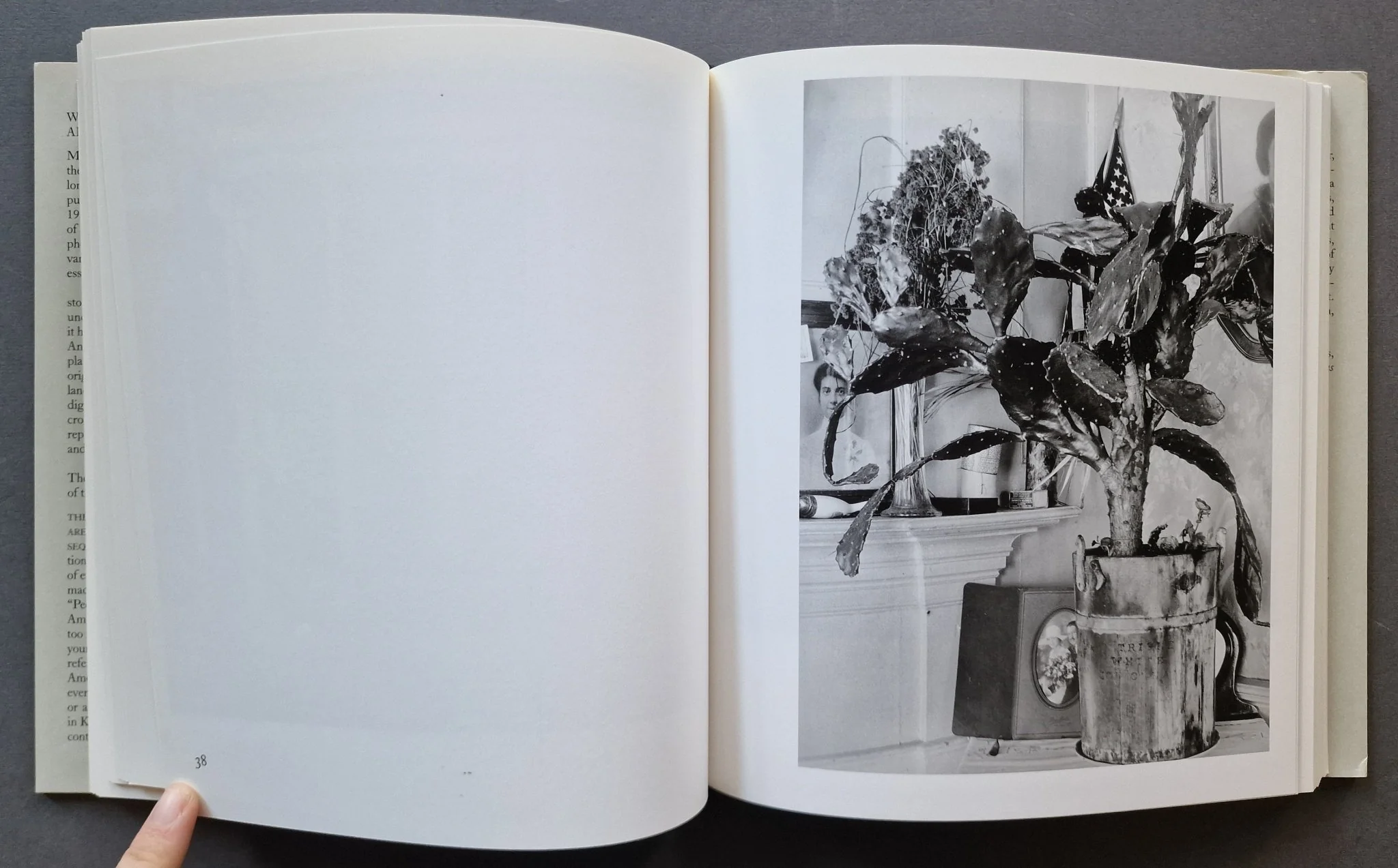 Walker Evans: American Photographs - Image 5