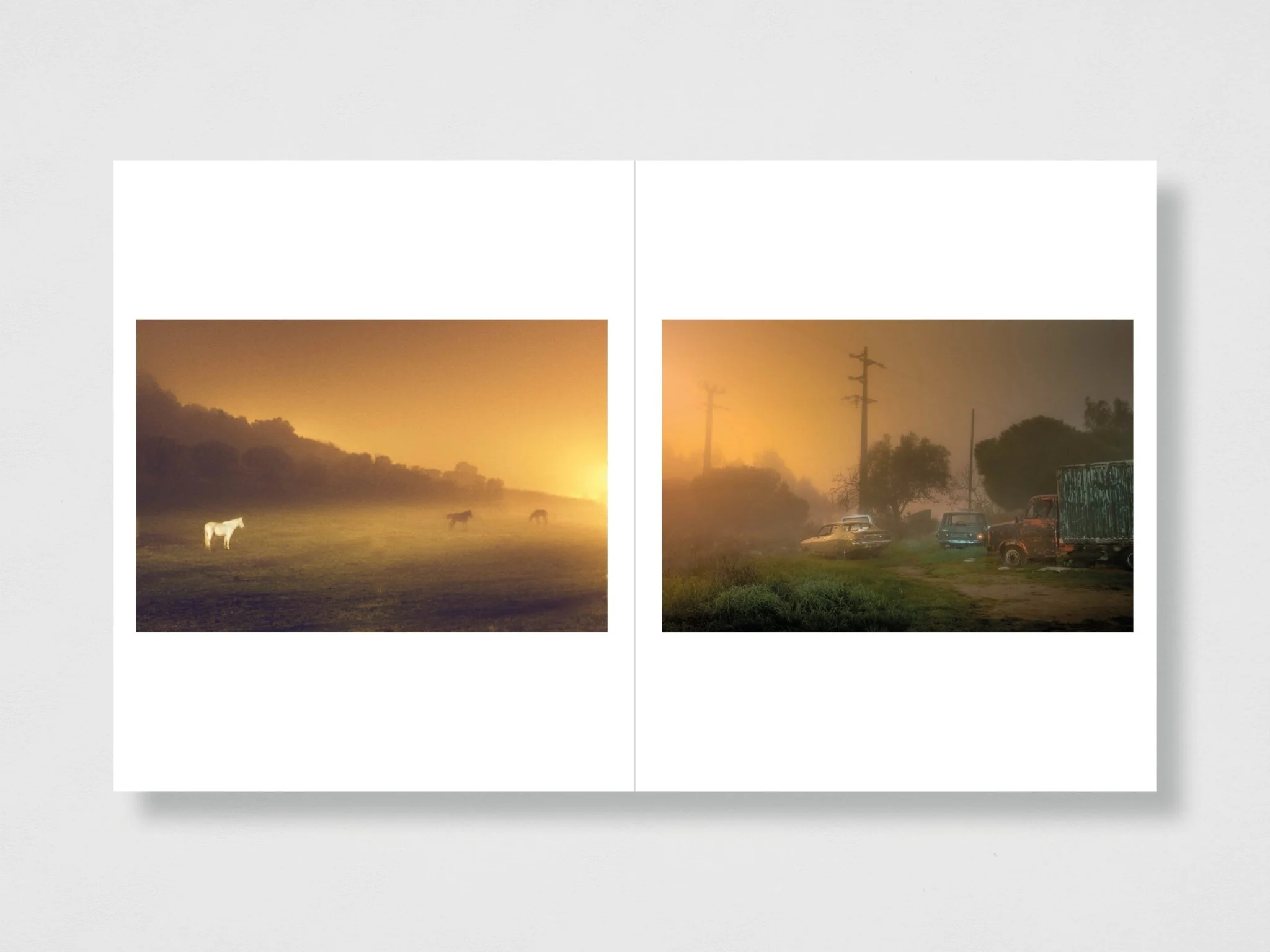 We Were Born Before The Wind - Special Edition (4 Print Options) - Image 11