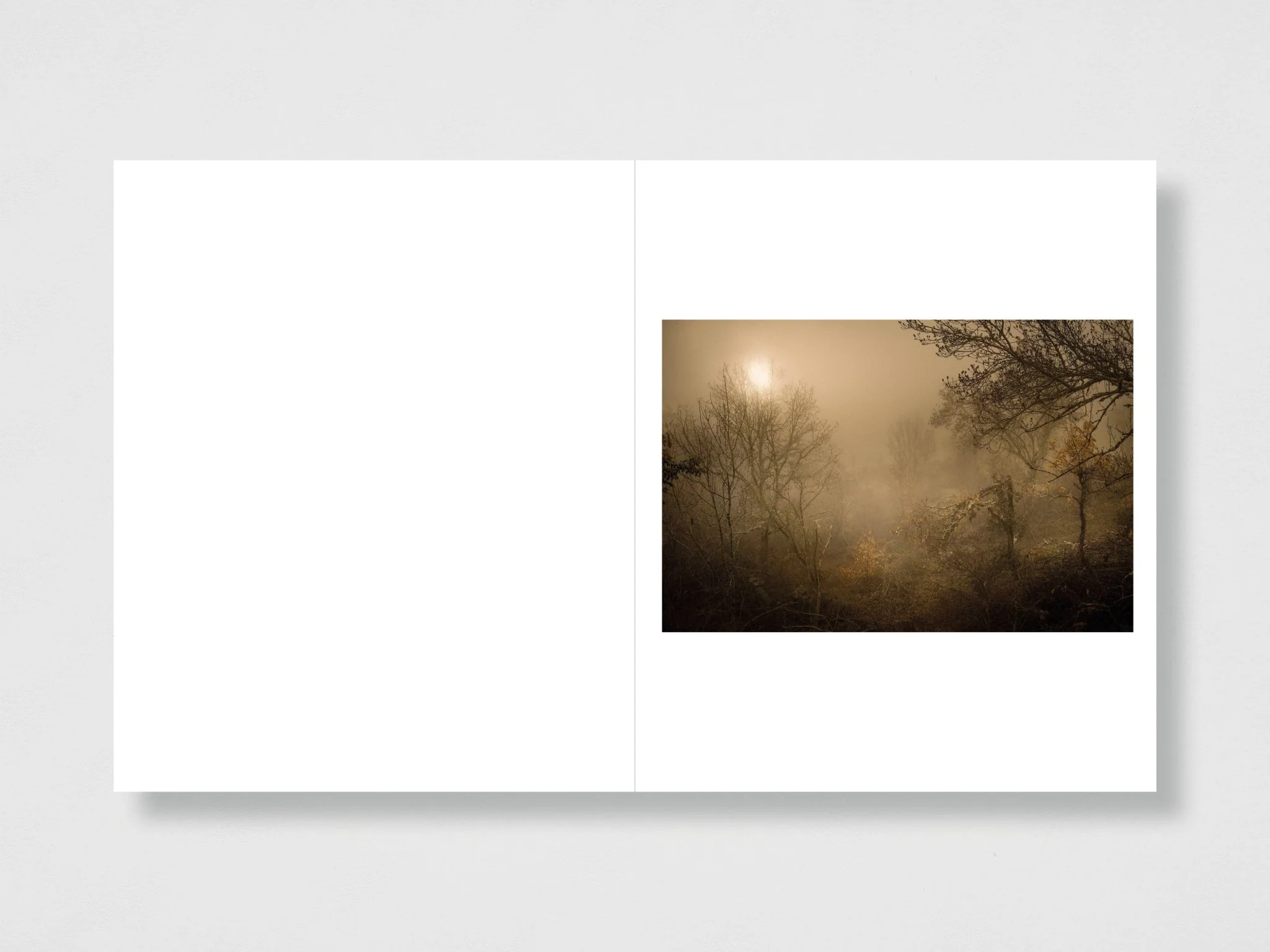 We Were Born Before The Wind - Special Edition (4 Print Options) - Image 13