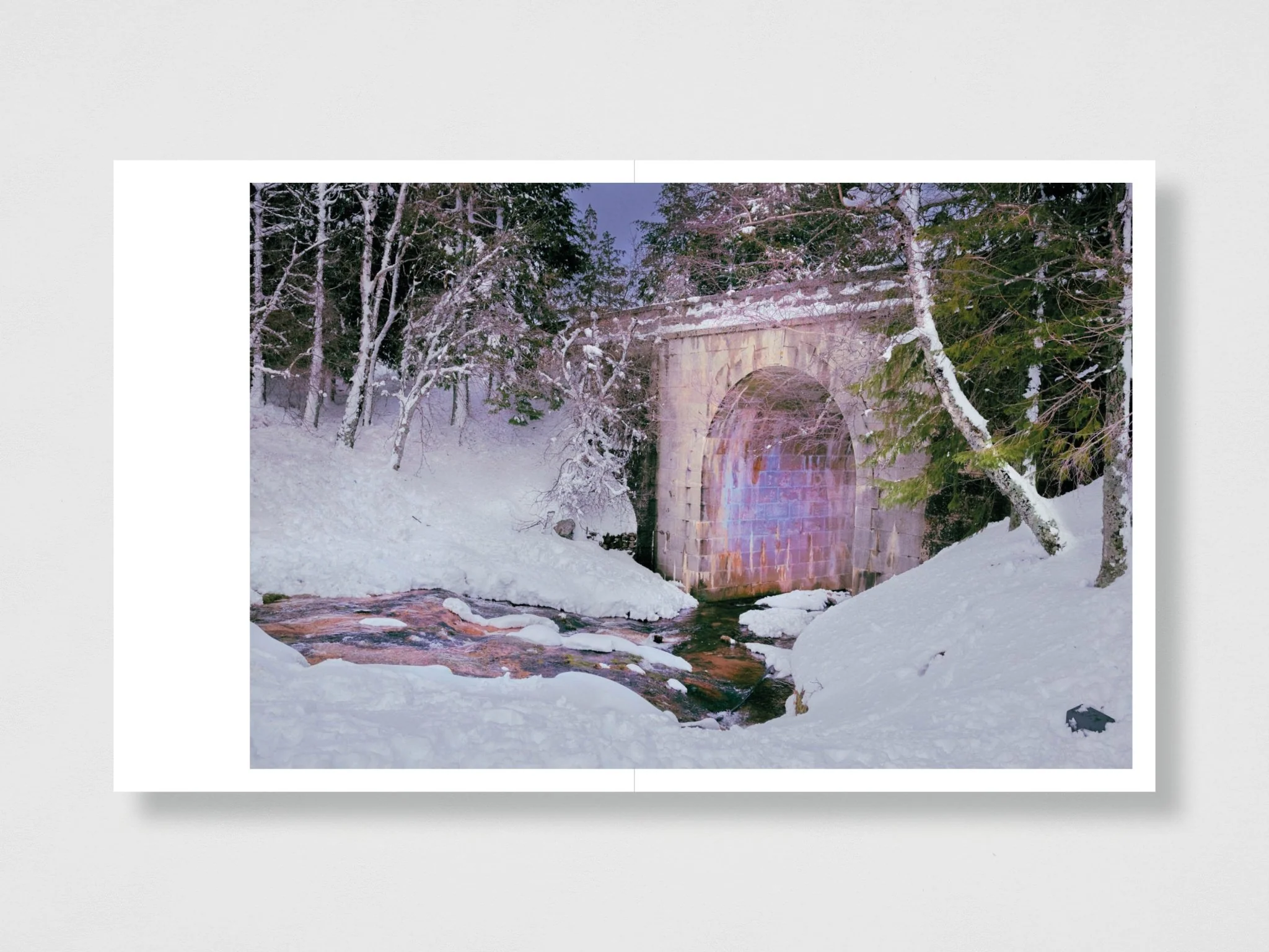 We Were Born Before The Wind - Special Edition (4 Print Options) - Image 14