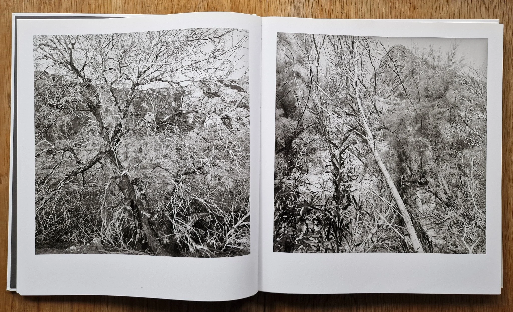 Western Landscapes - Image 3
