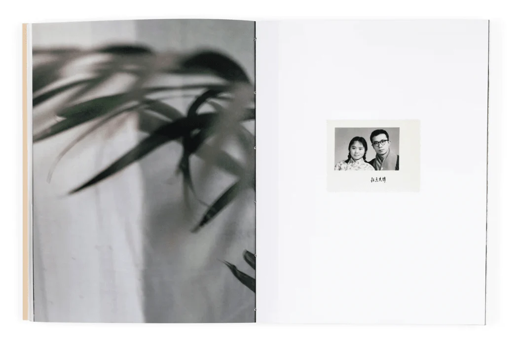 Where My Heart Settles Down - Image 6