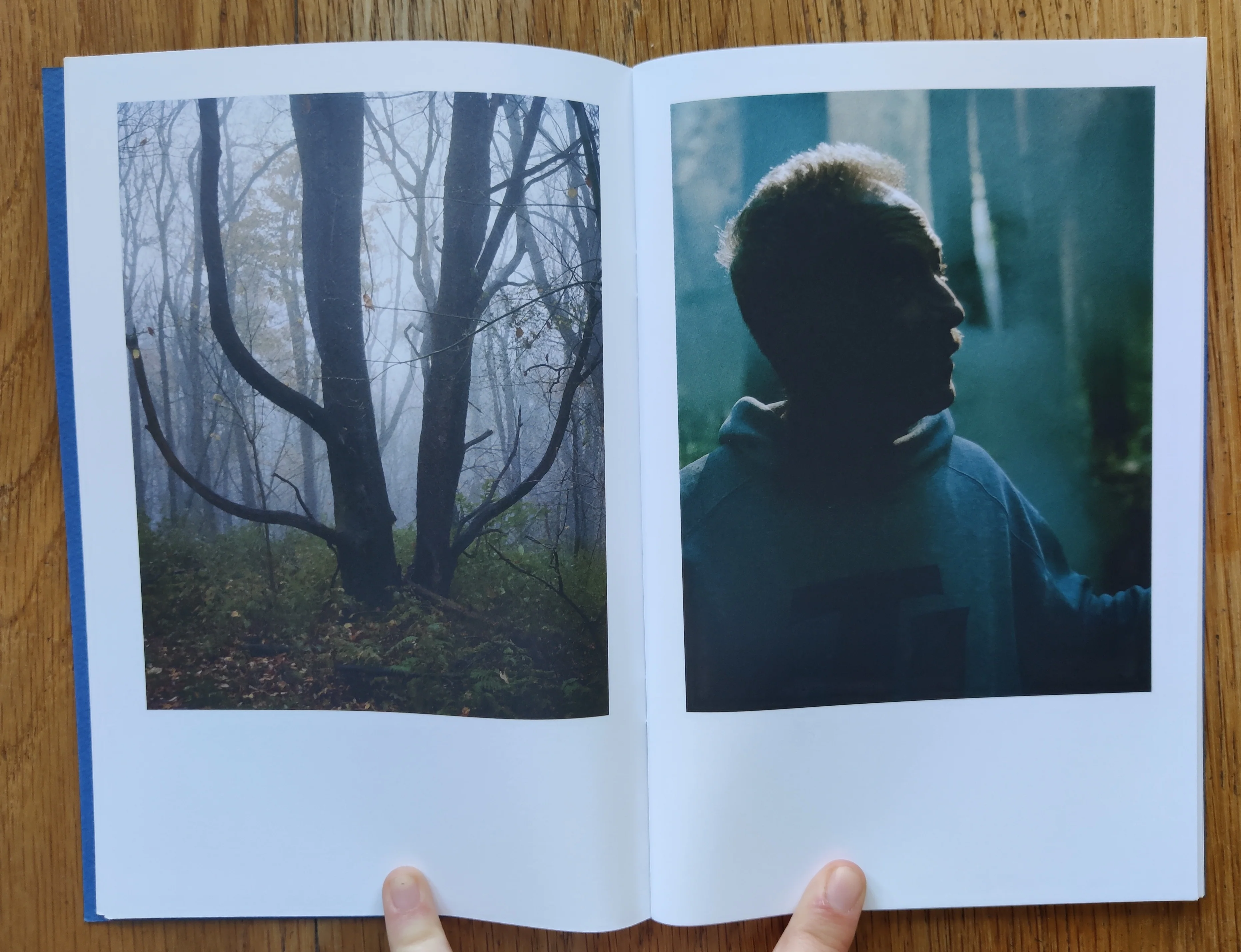 Where The Land Gives Way - Image 3