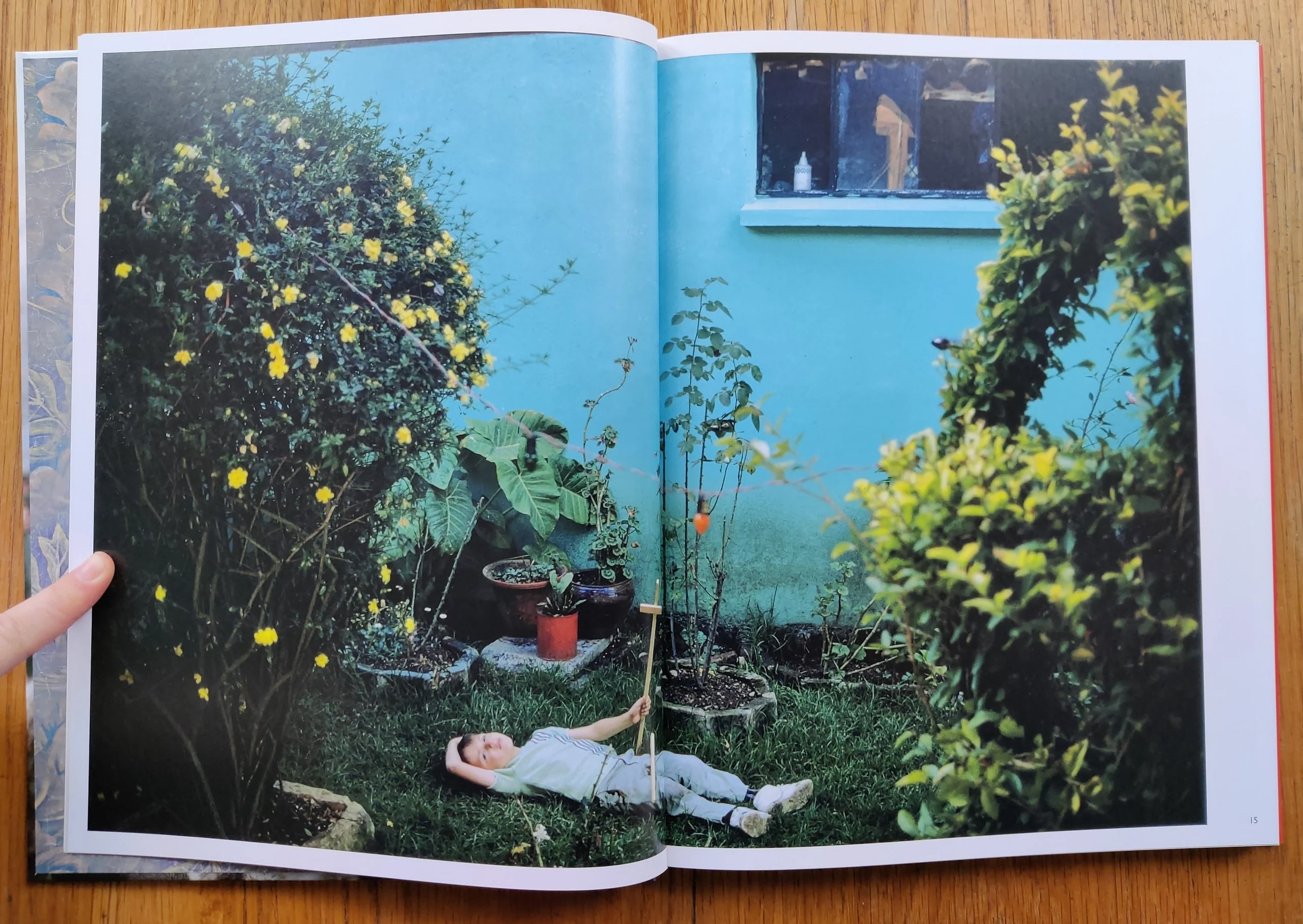 Wild Flowers (Collector's Edition with 'Window', Rockport, Massachusetts, 1965 Print) - Image 7
