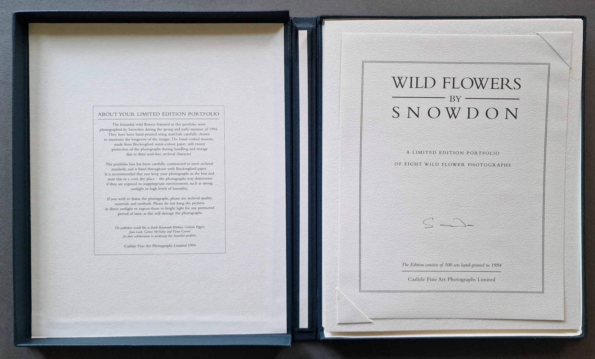 Wild Flowers - Image 2