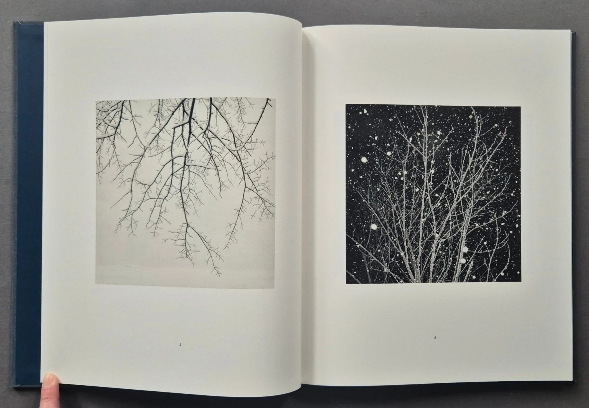 Winter - Image 3