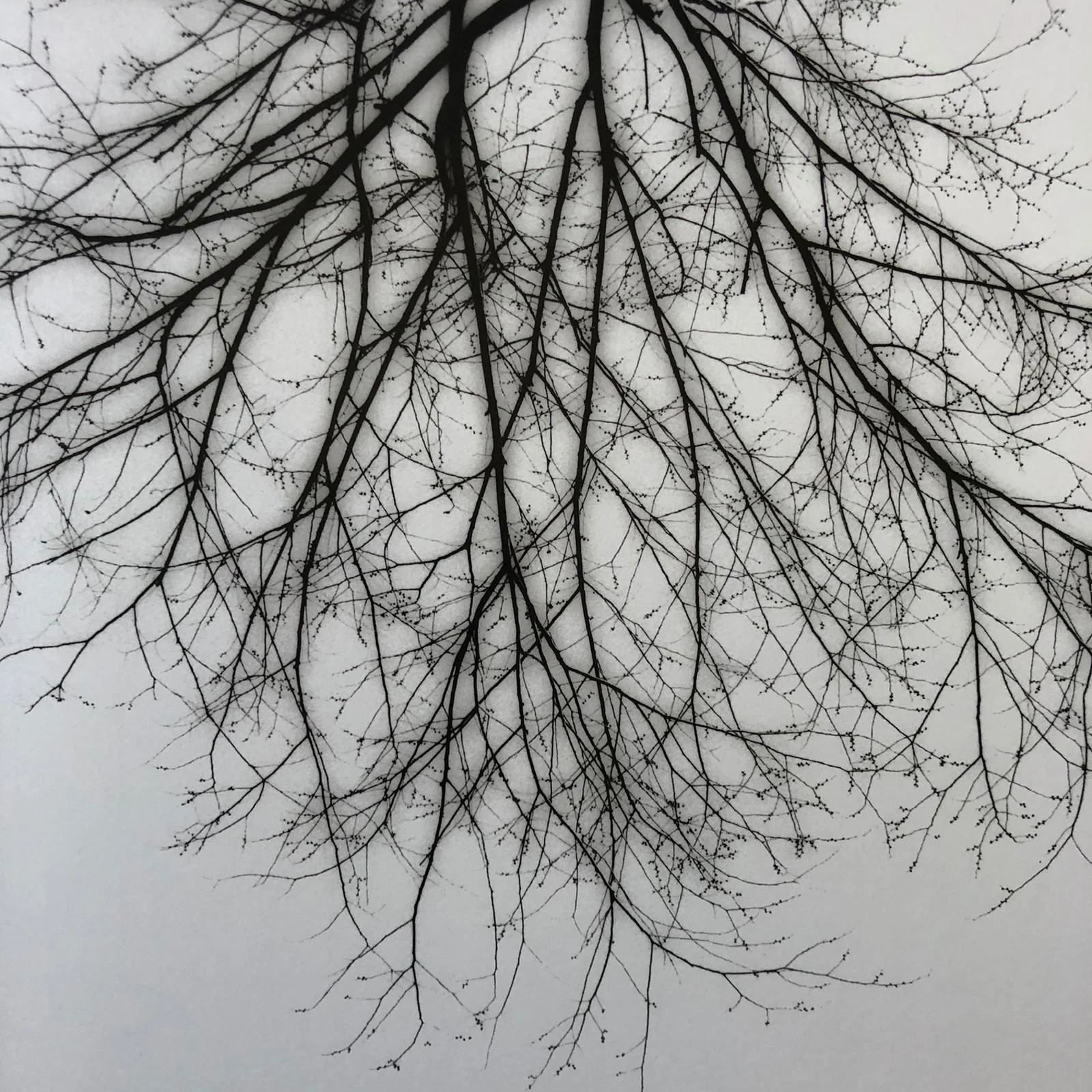Winter - Image 2